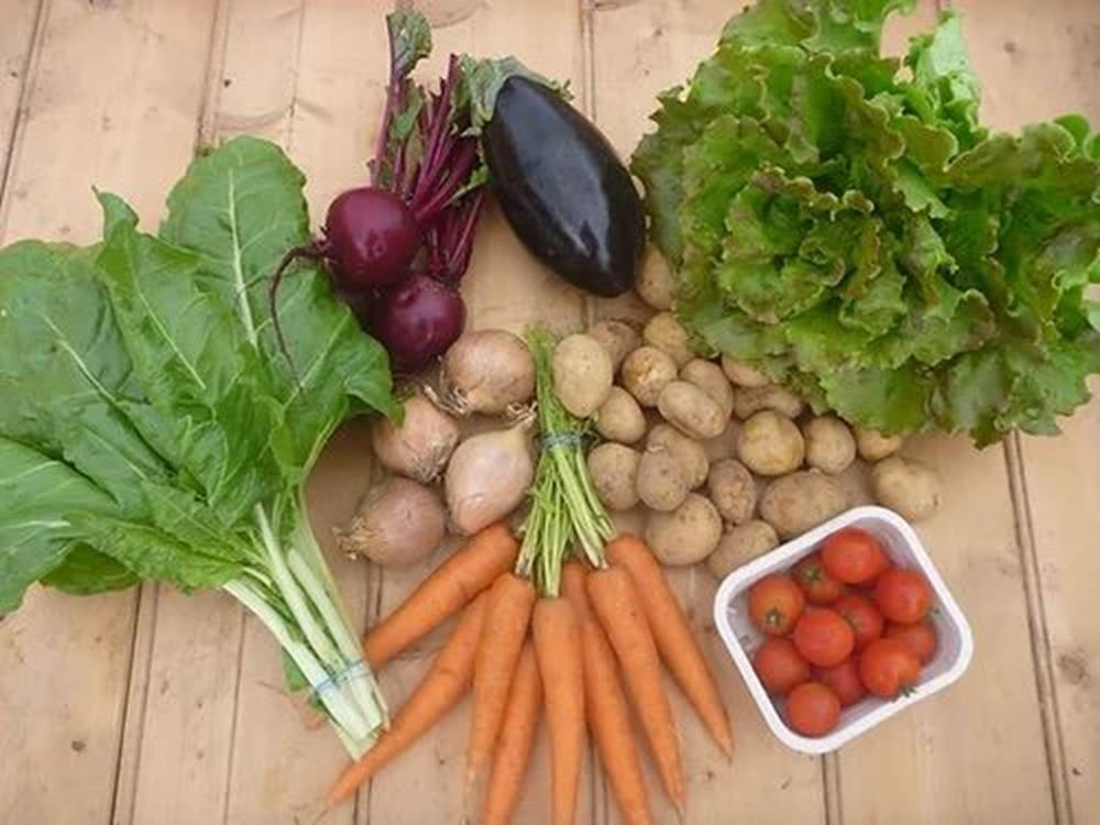 Image of Veg Box, Medium