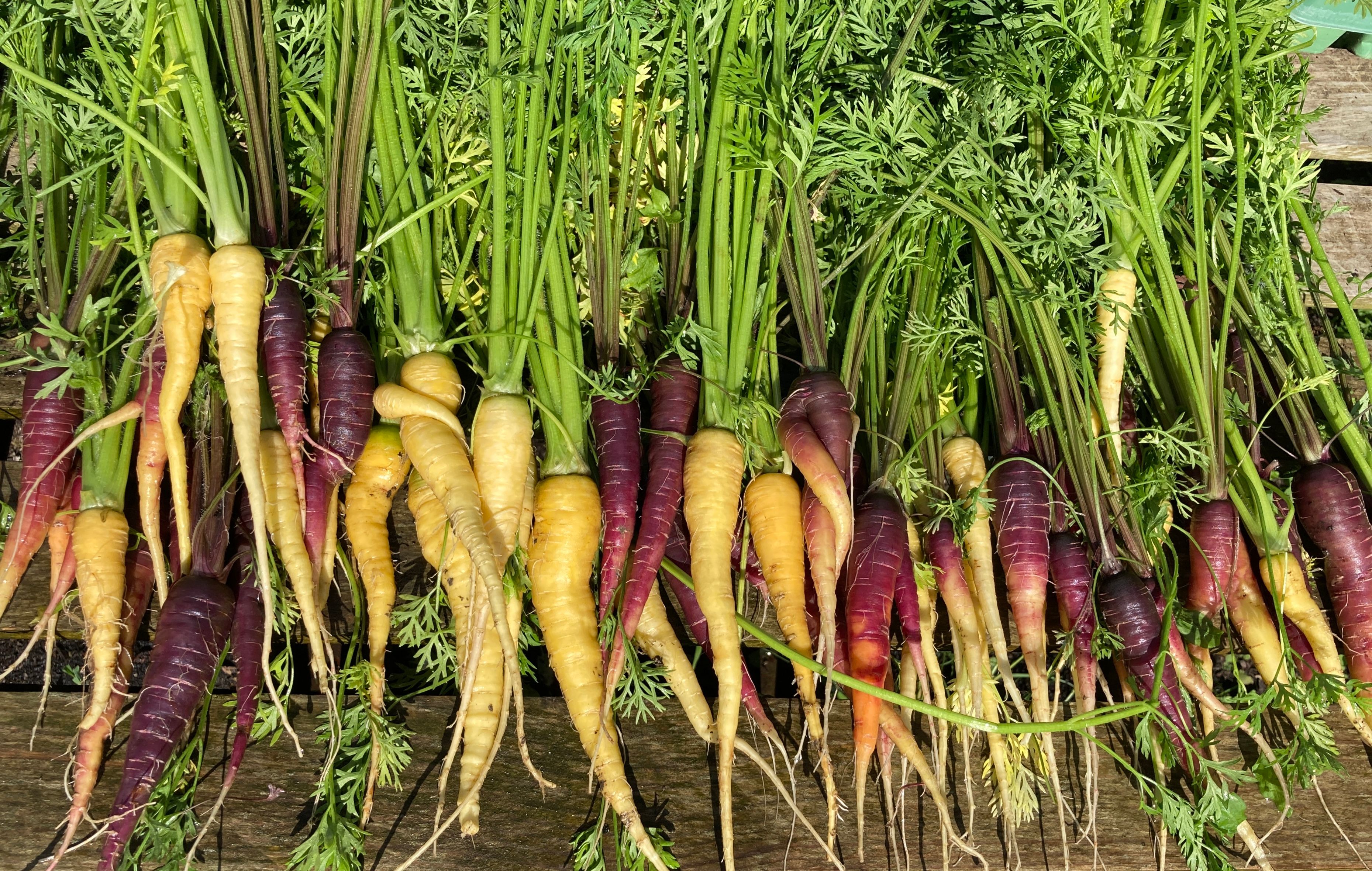 Image of How to shop with us