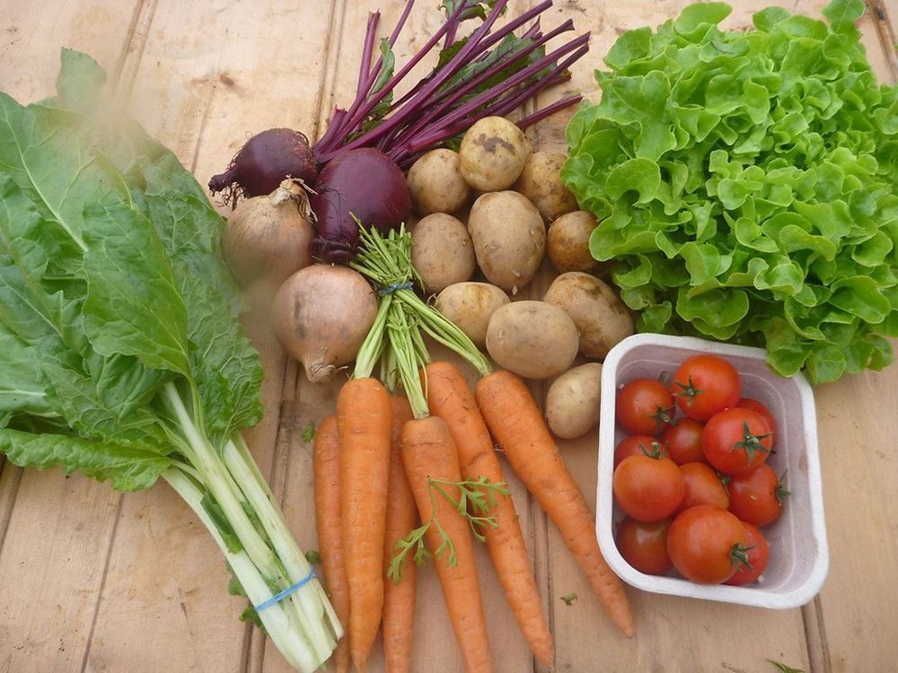 Image of Veg Box, Small