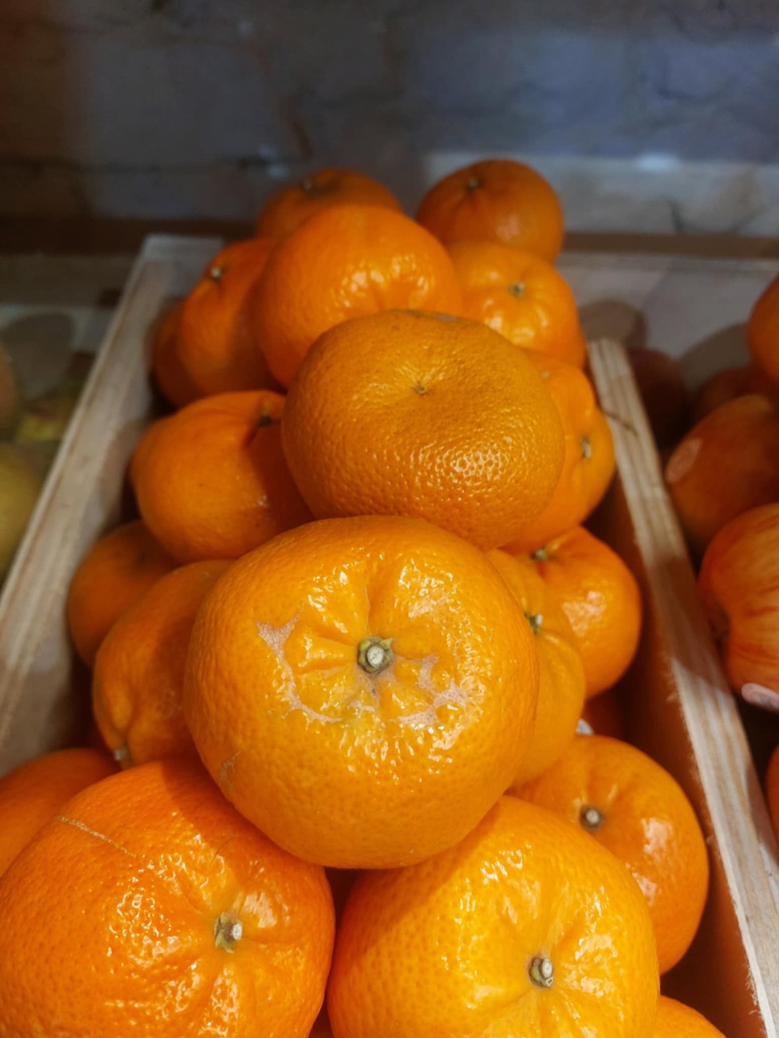 Image of Organic Clementines
