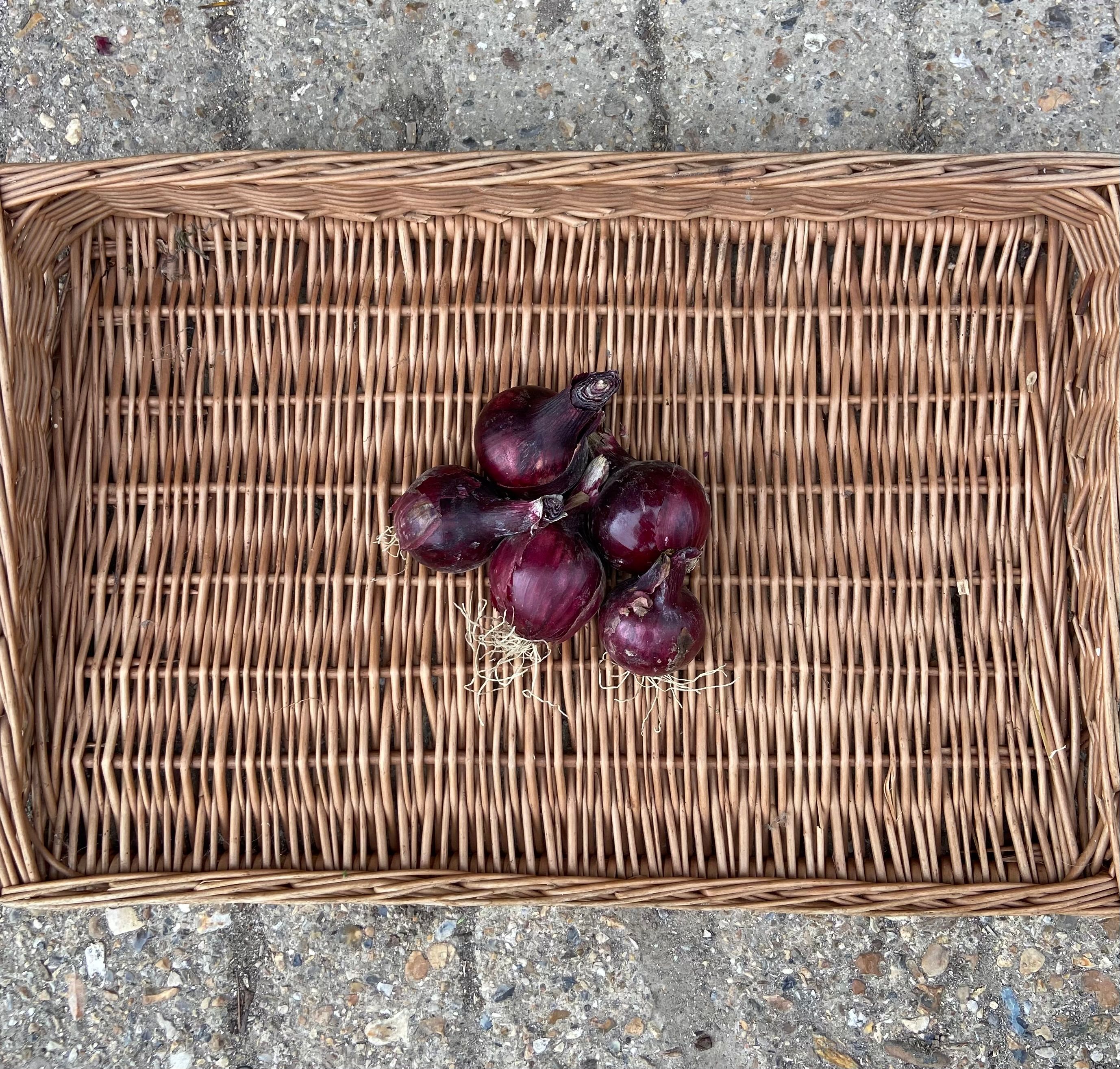 Red Onions