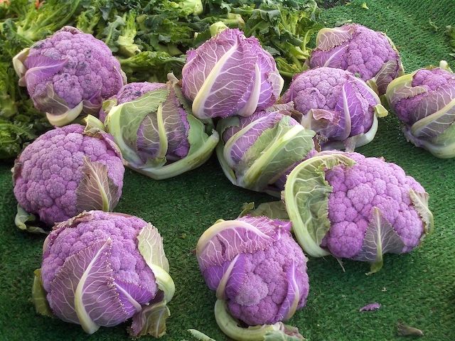 Image of Cauliflower, Purple