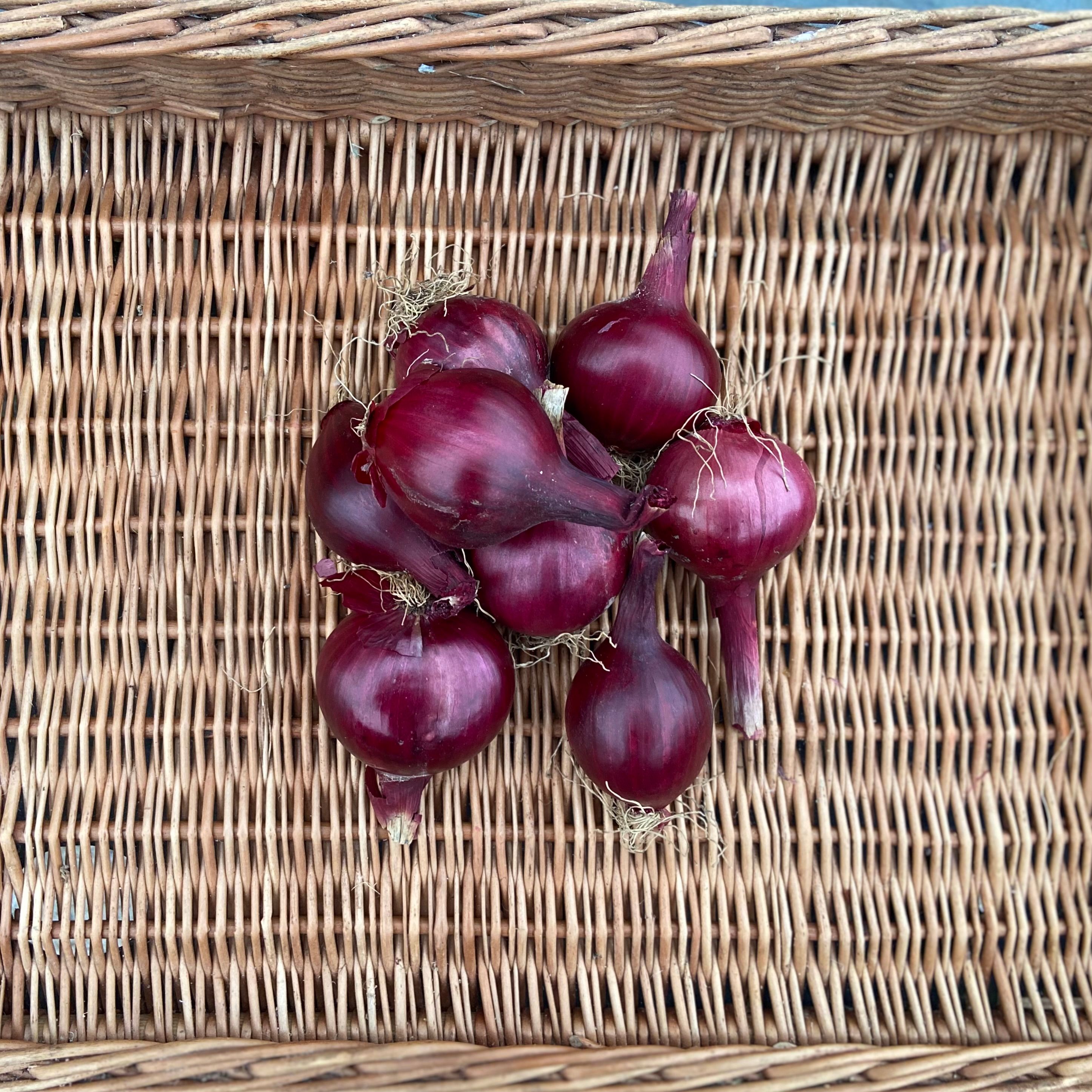 Image of Red Onions