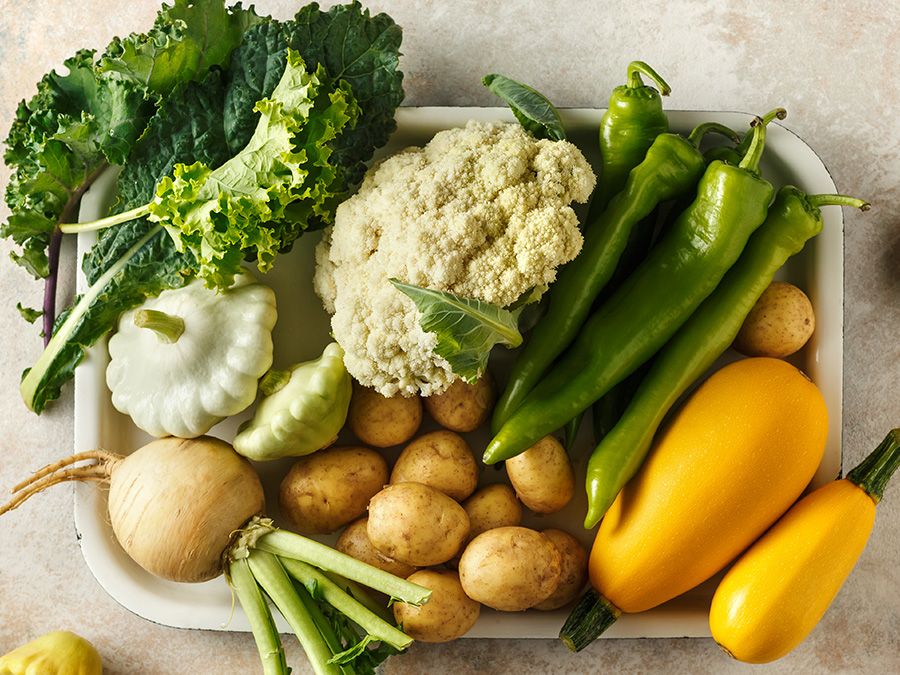 Small Organic Veg box