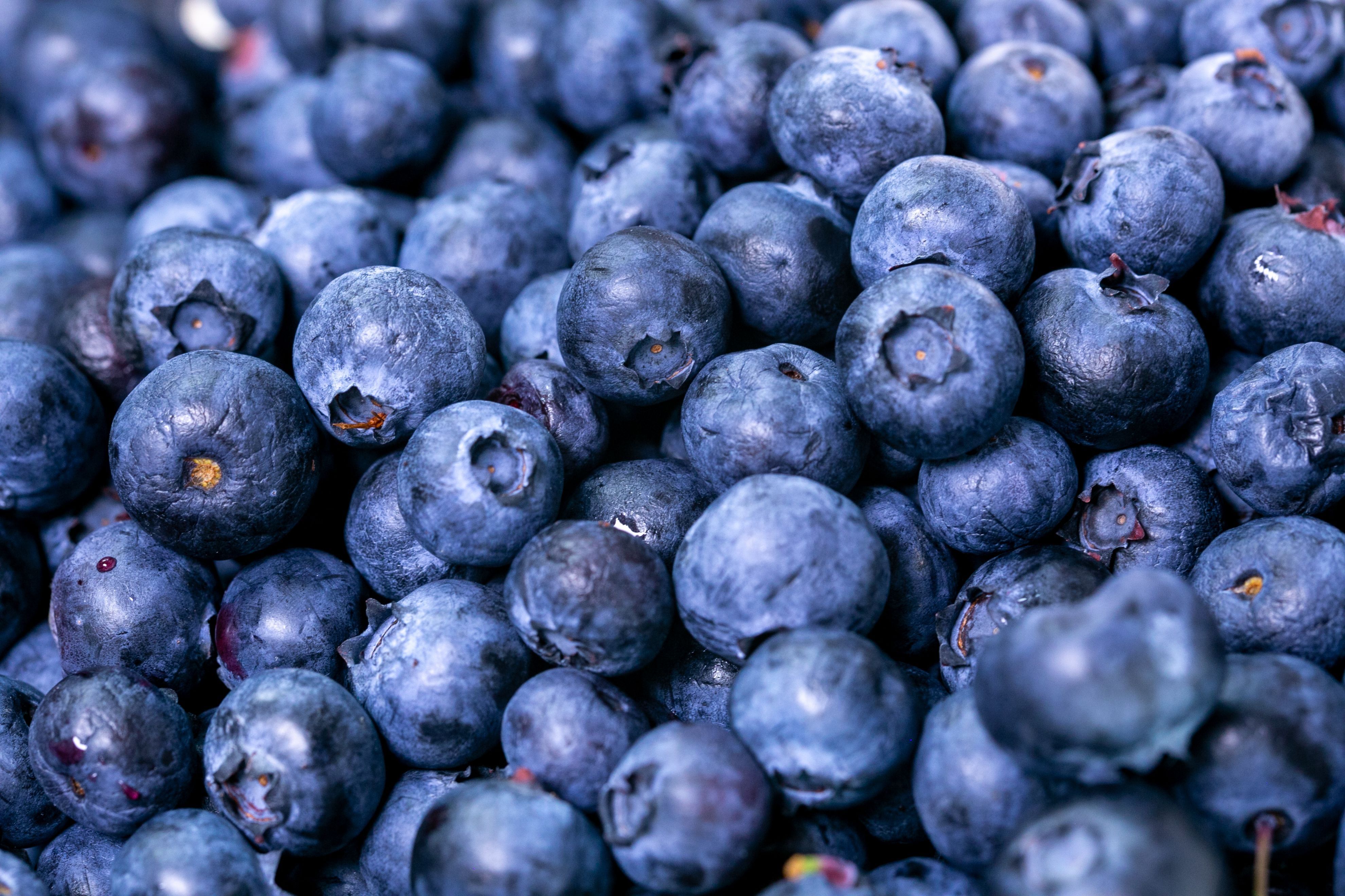 Image of Blueberries (Organic) - 125g