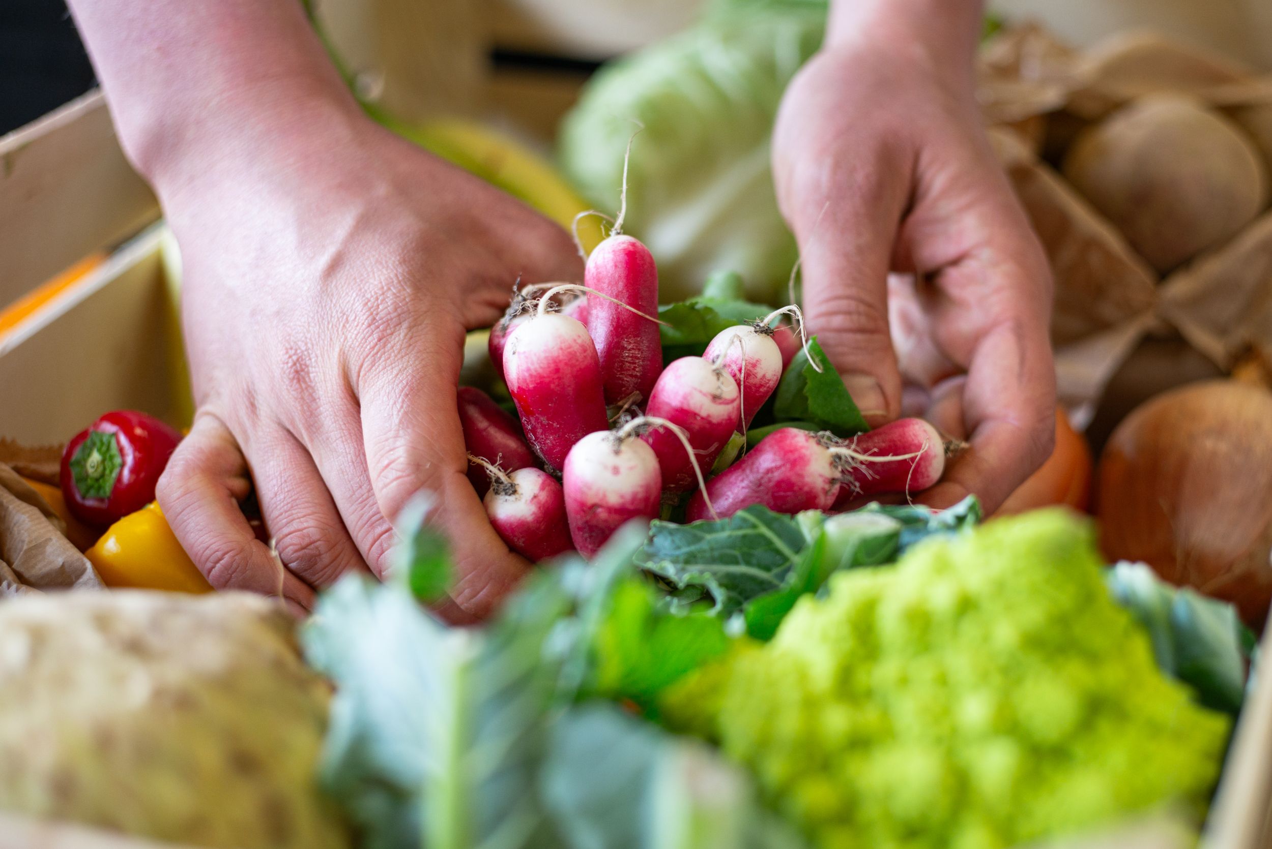 Image of Welcome to our new website