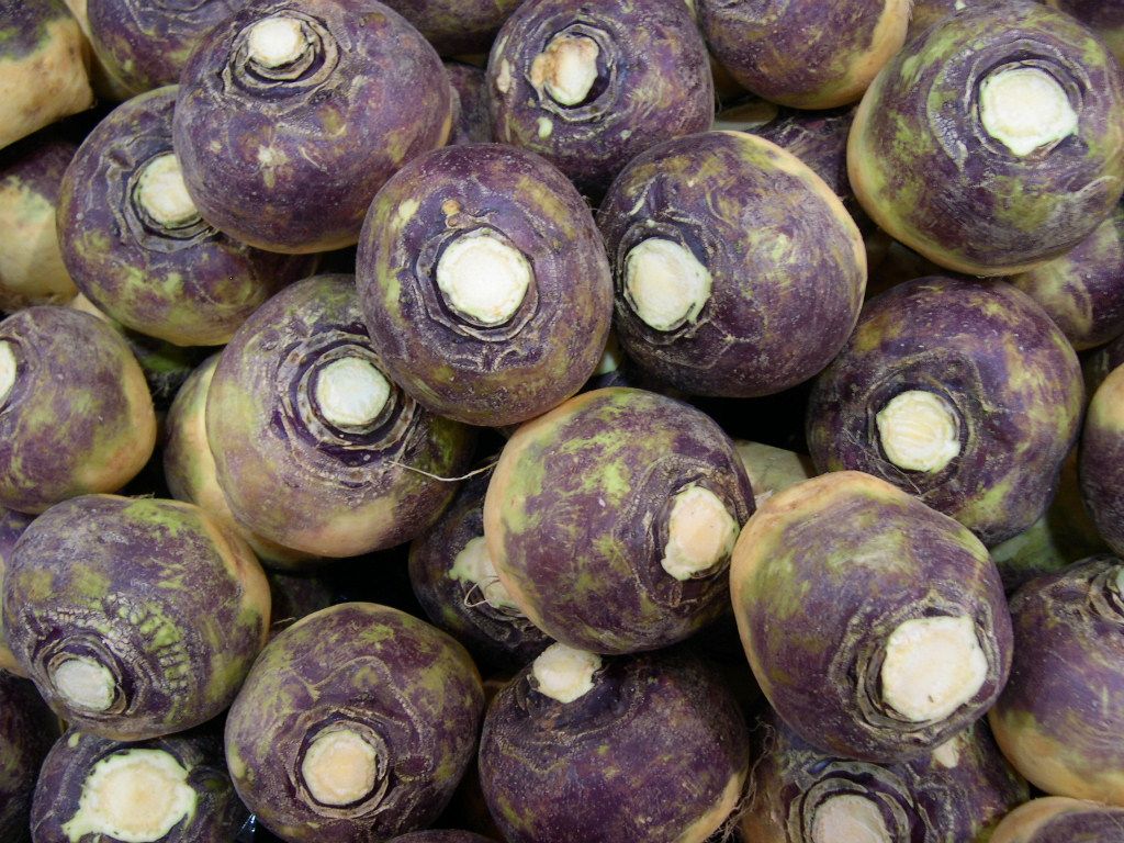 Image of Swede