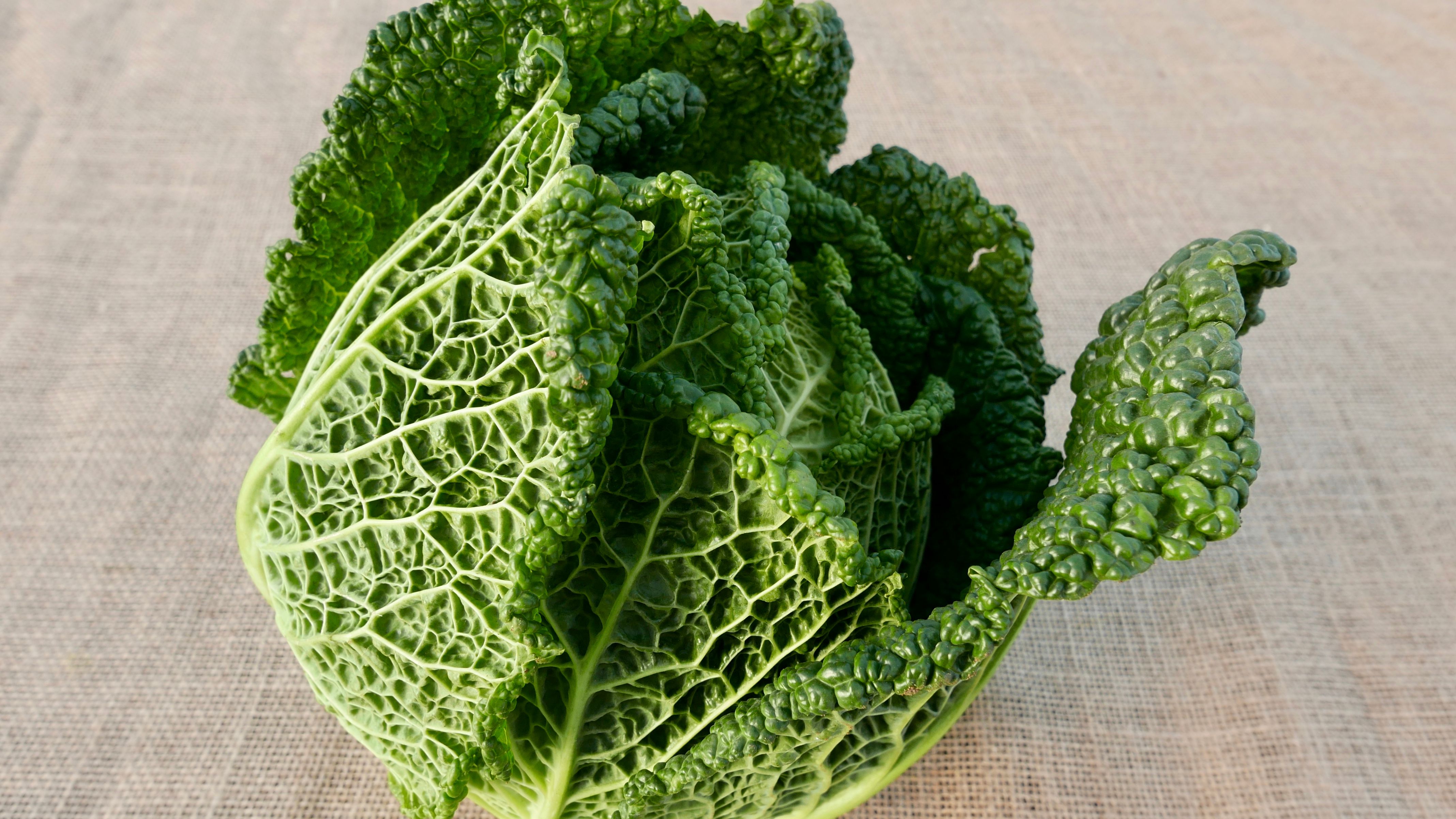 Image of Green Cabbage