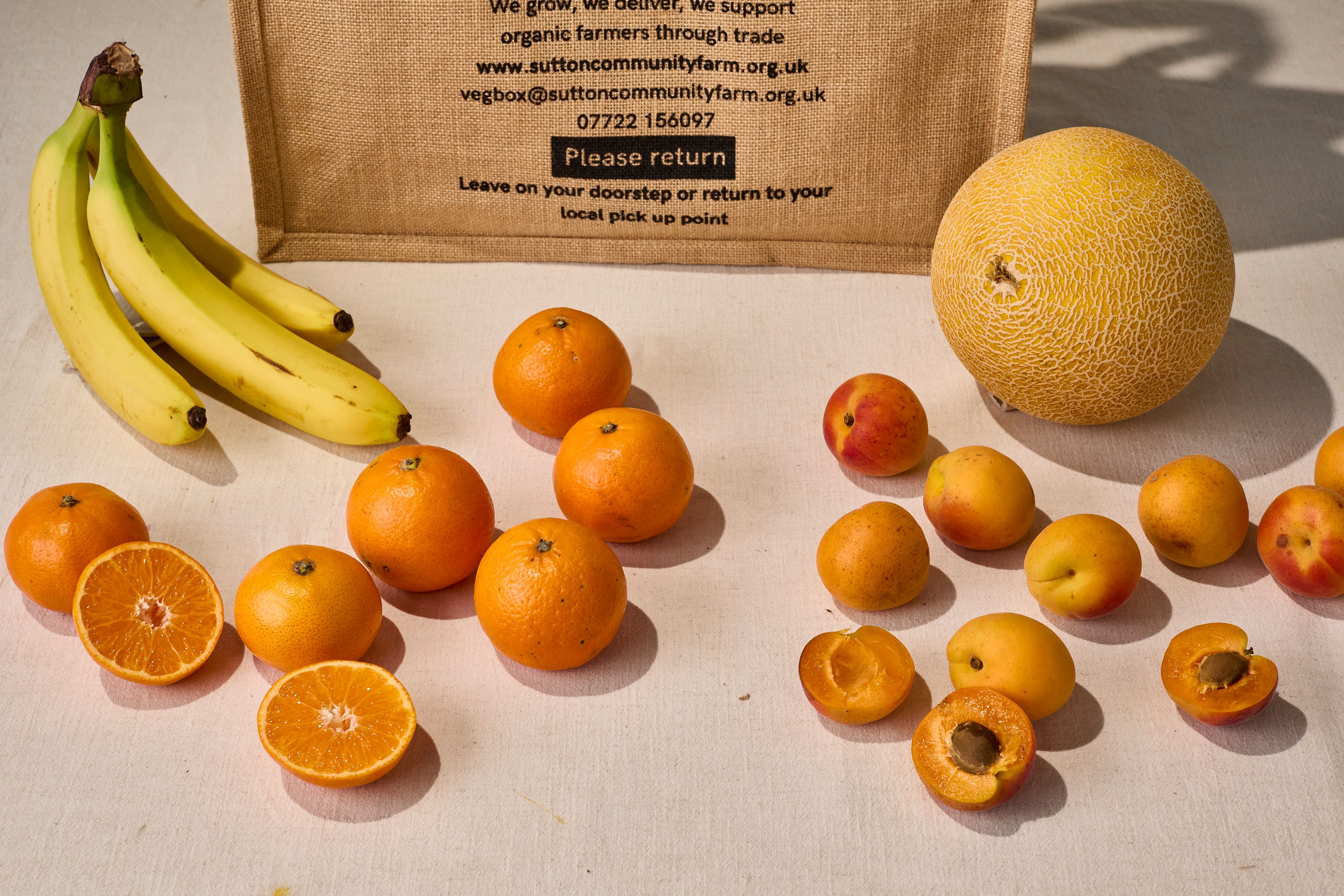Image of Small Fruit Box
