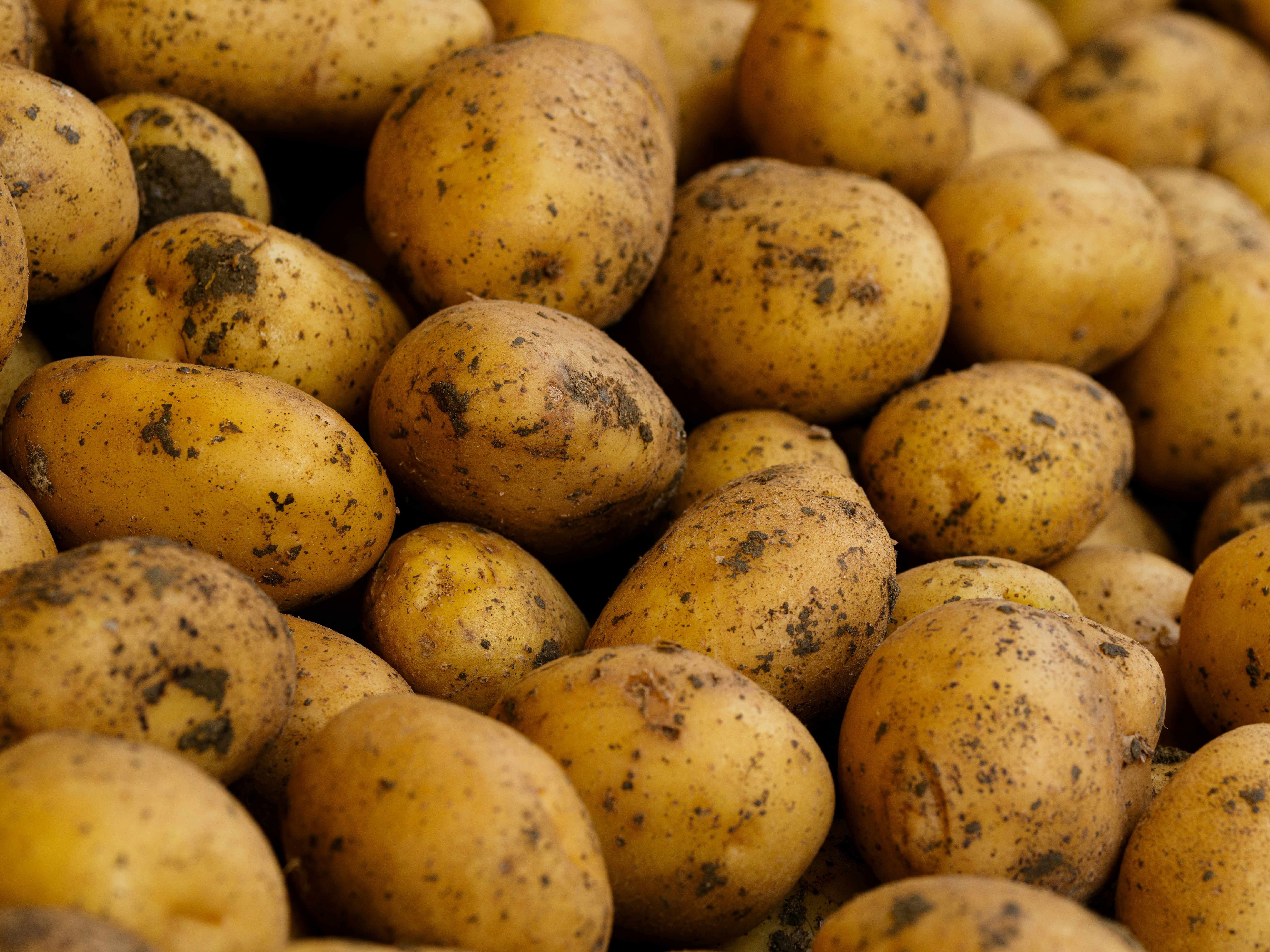 Image of Potatoes, general purpose