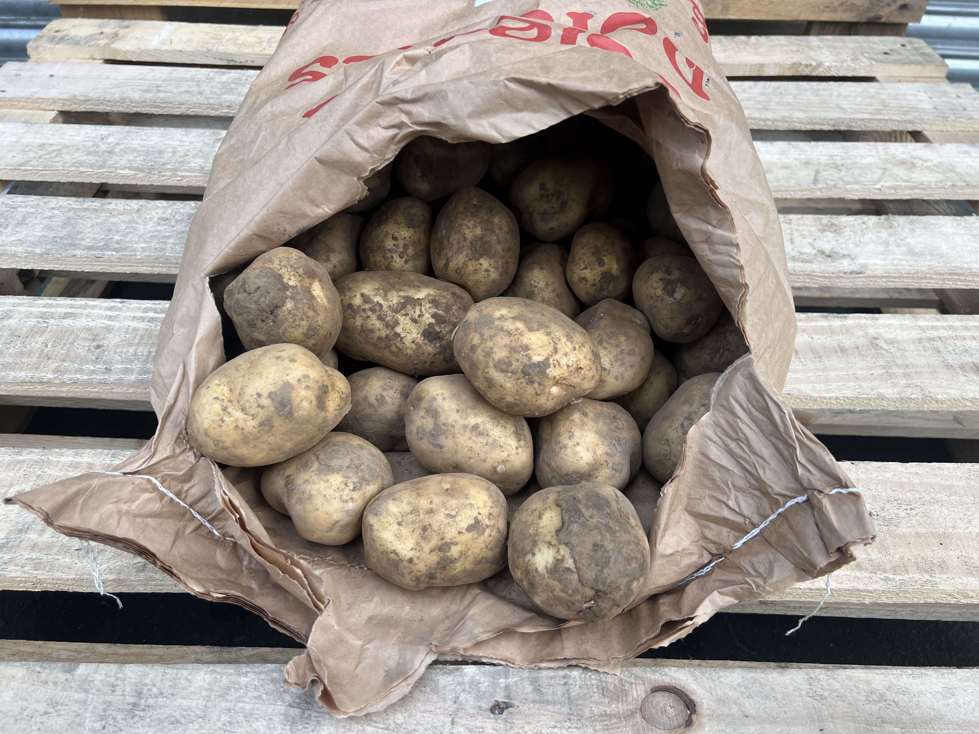 Image of Potato Acoustic
