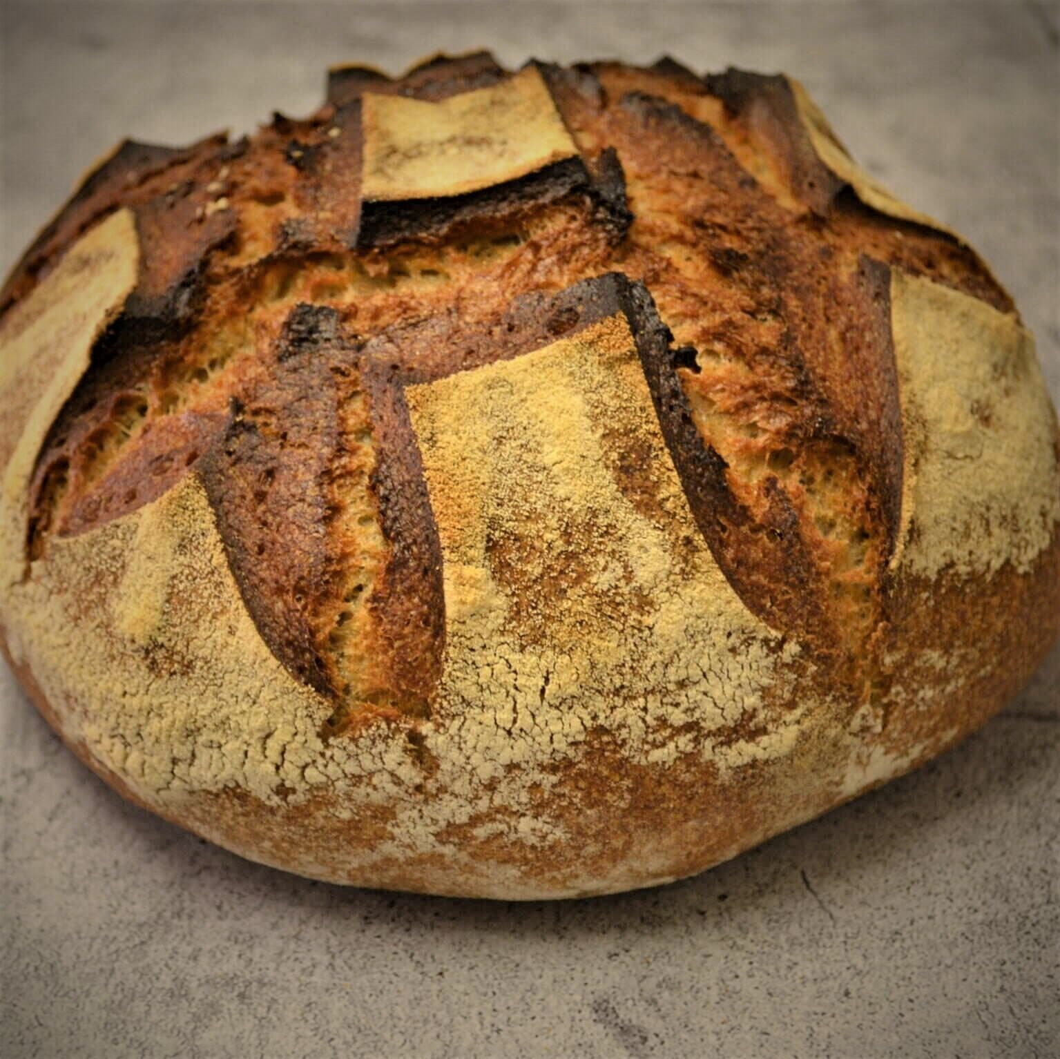 Image of Country Sourdough