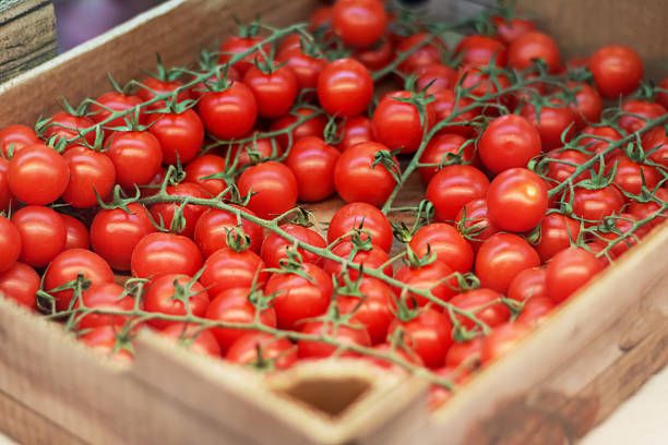 Image of Organic Cherry Vine Tomato