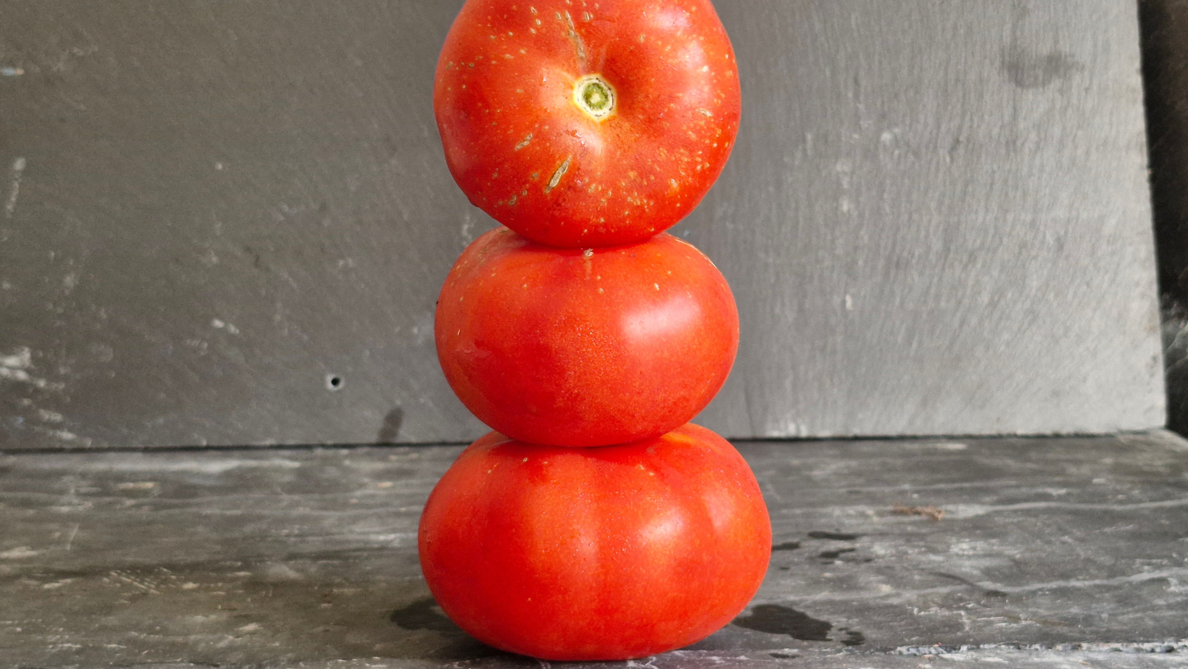 Image of Tomato 