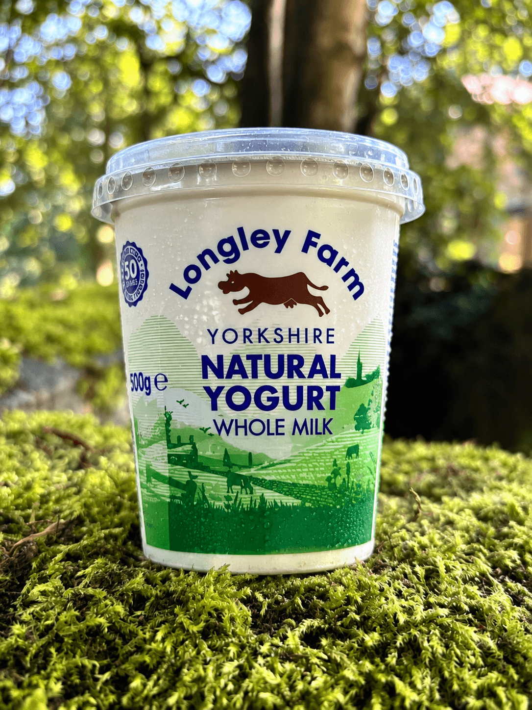 Image of Natural Yogurt