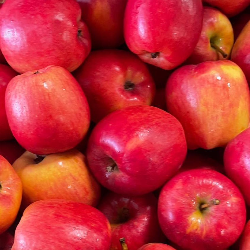 Apple - Aria (Organic)
(750g)