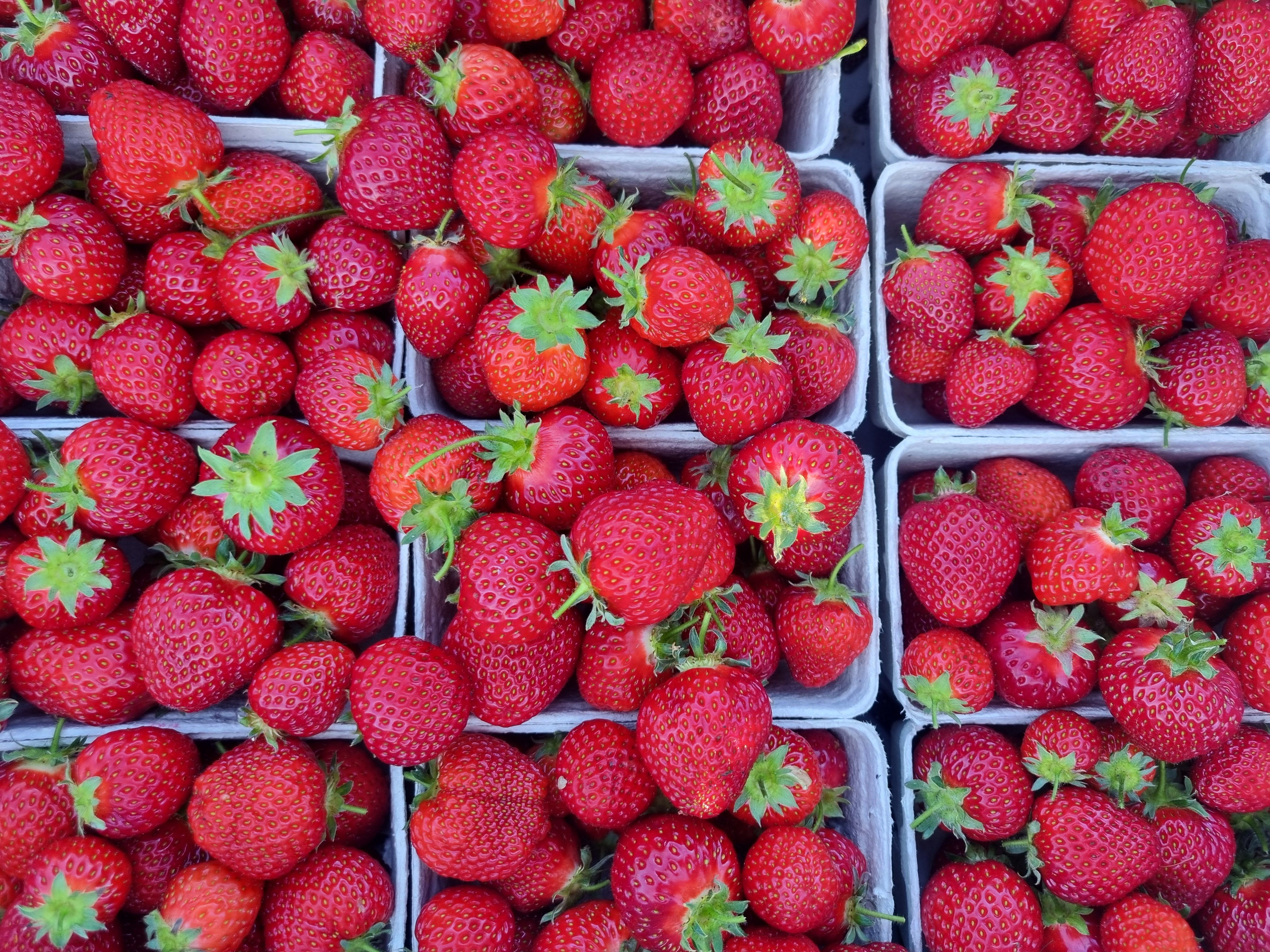 Image of Fruit