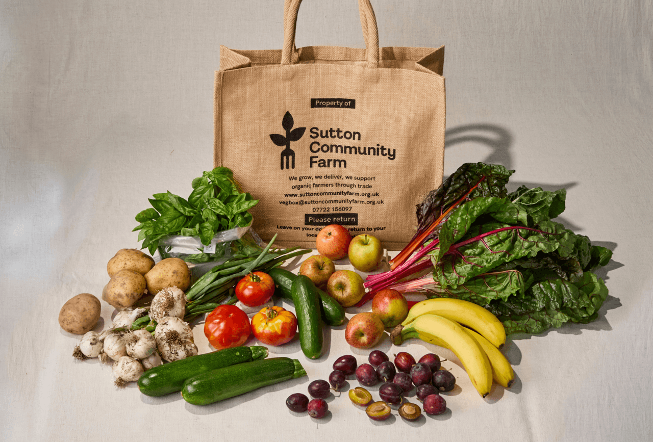 Medium Fruit & Veg Box