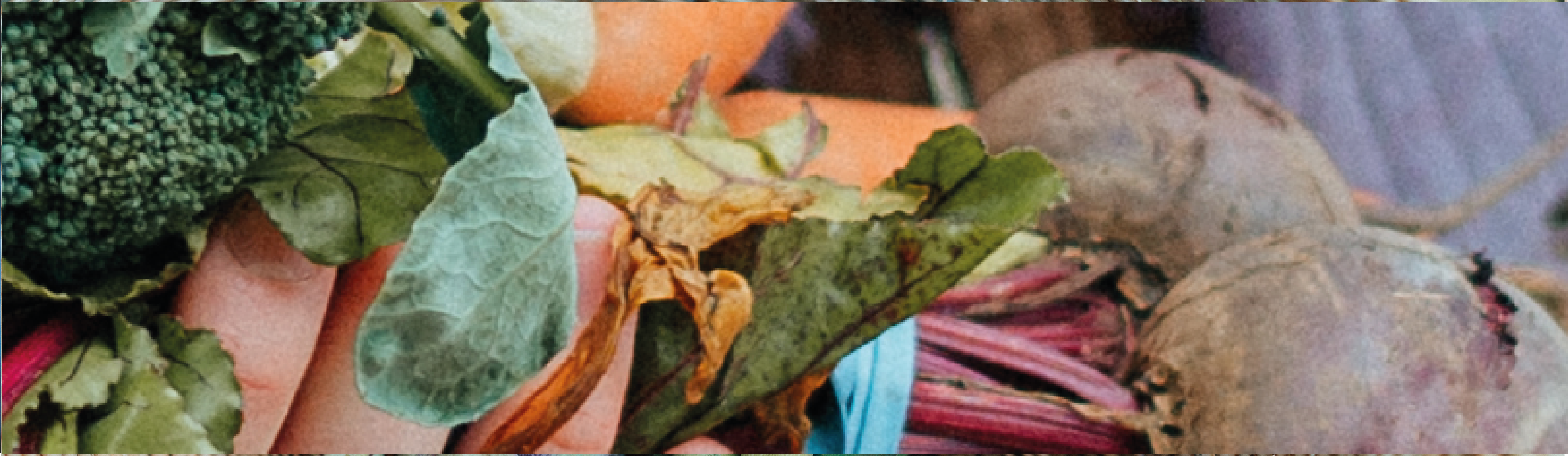 Image of Veg Boxes