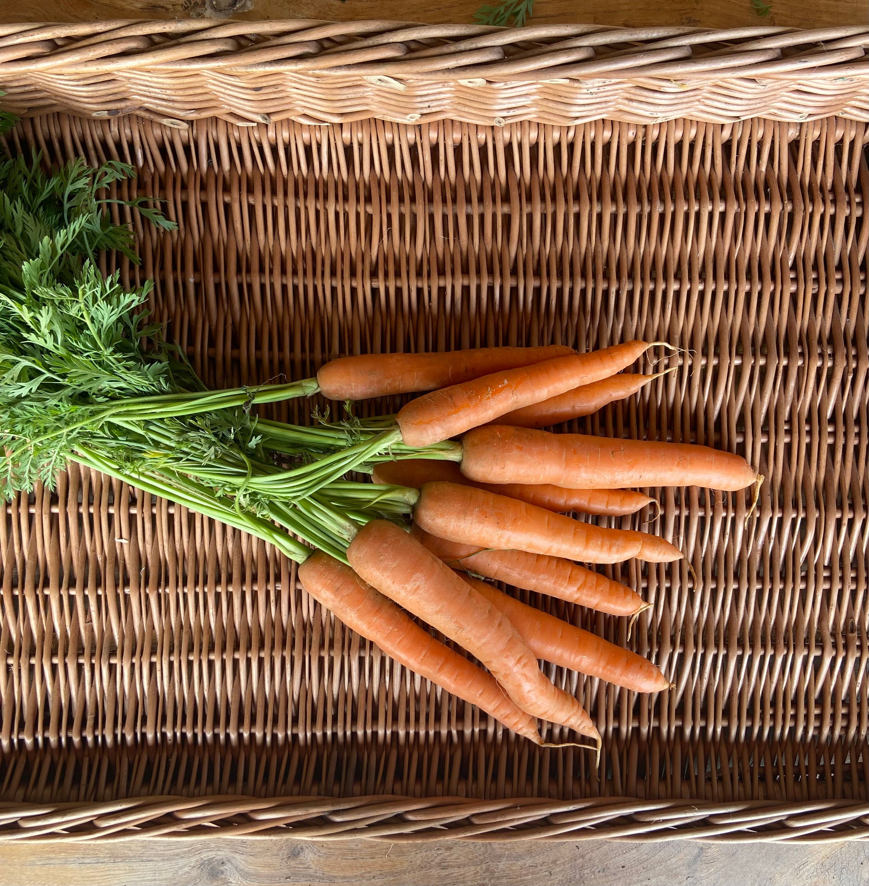 Carrots