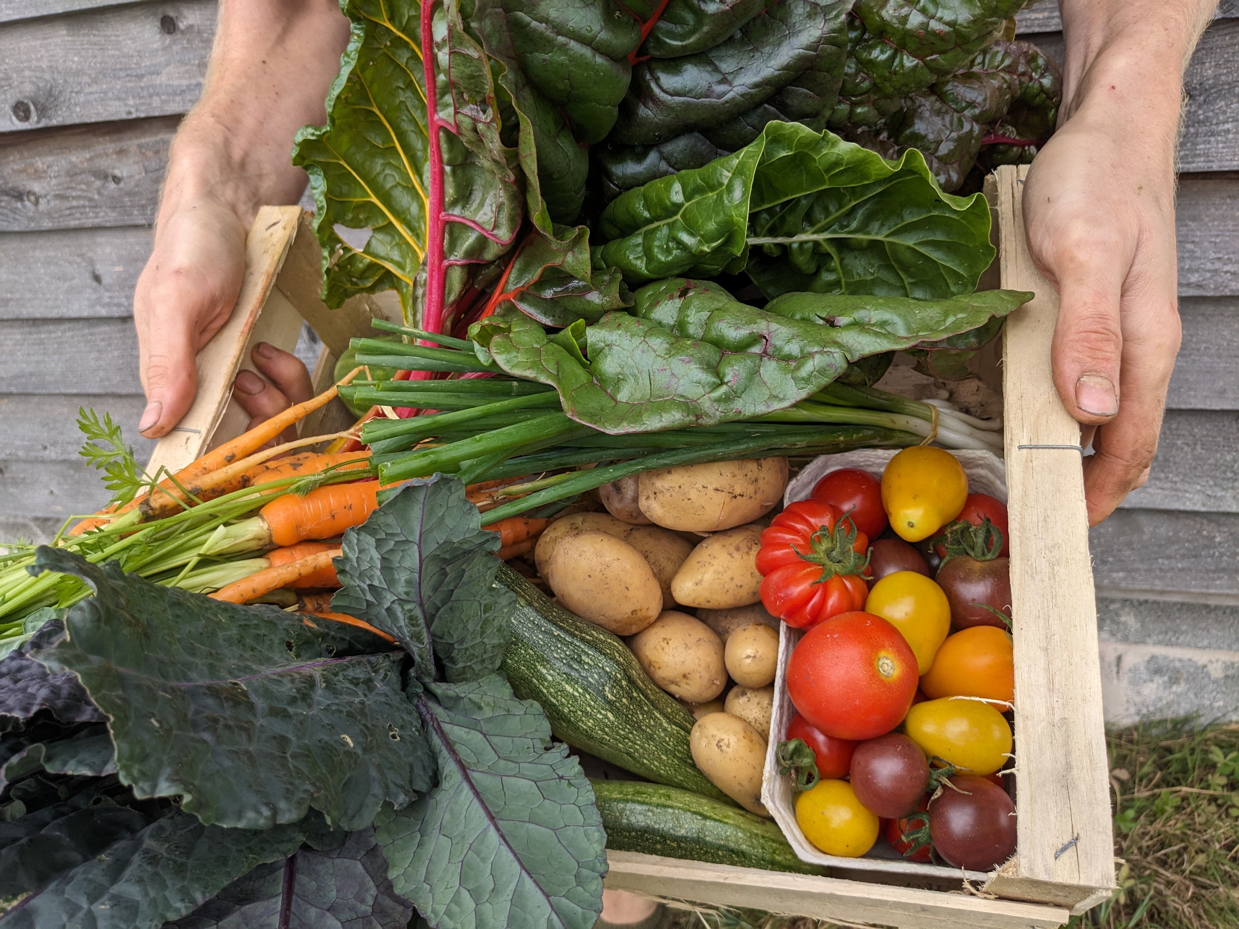 Image of Medium Veg Box