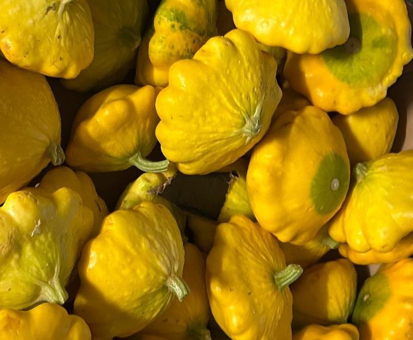 Image of Squash, Pattypan
