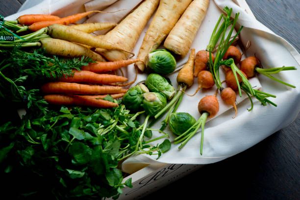 Medium Festive Dinner Box