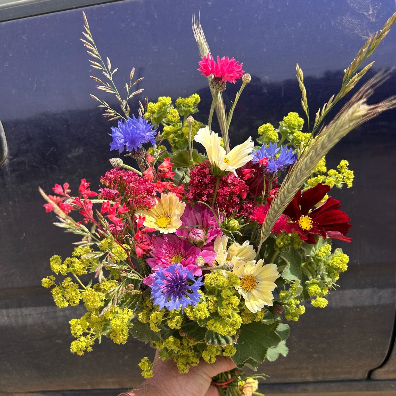 Image of Seasonal Farm Bunch - Mix Colours