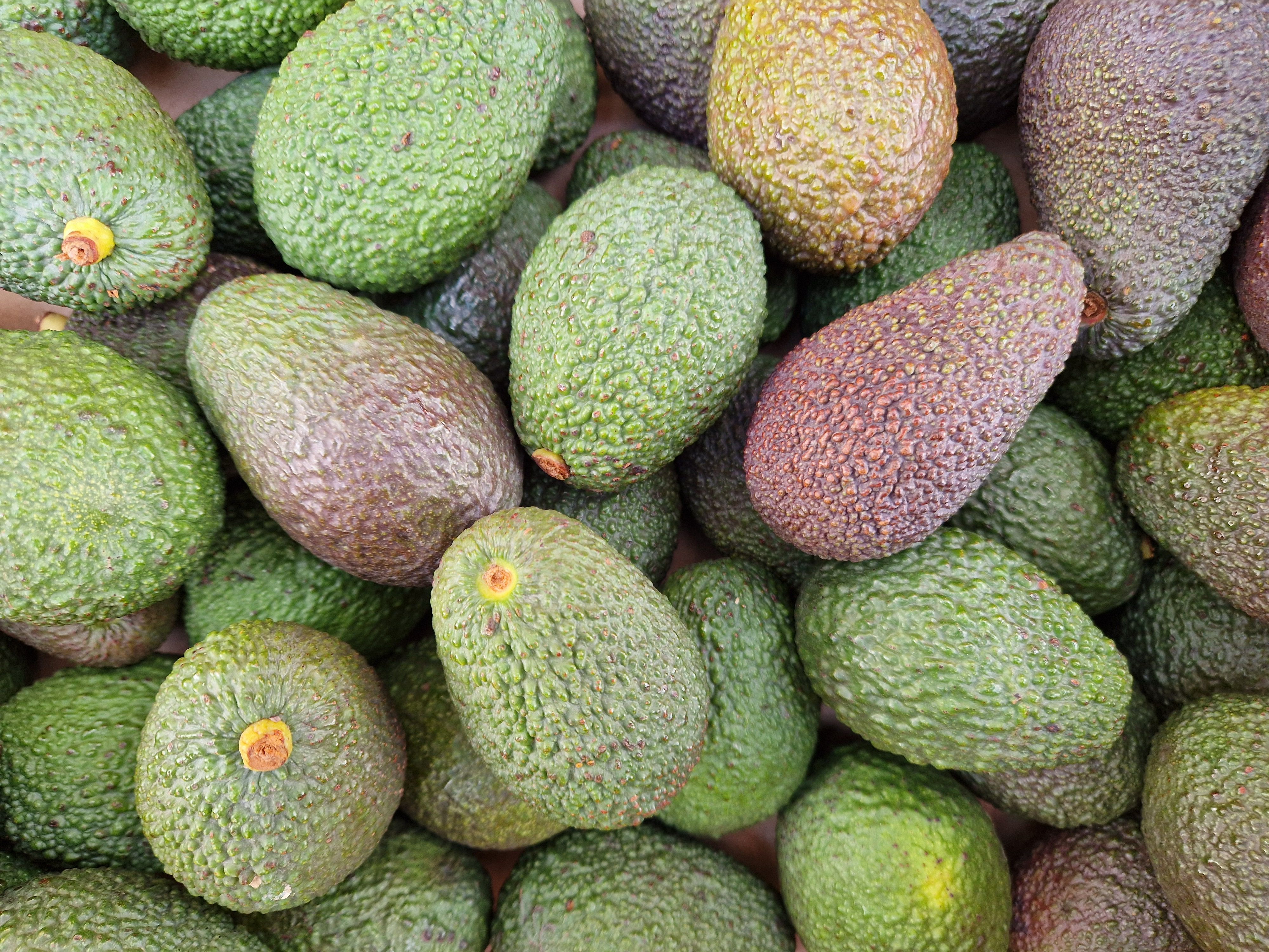 Image of Avocado