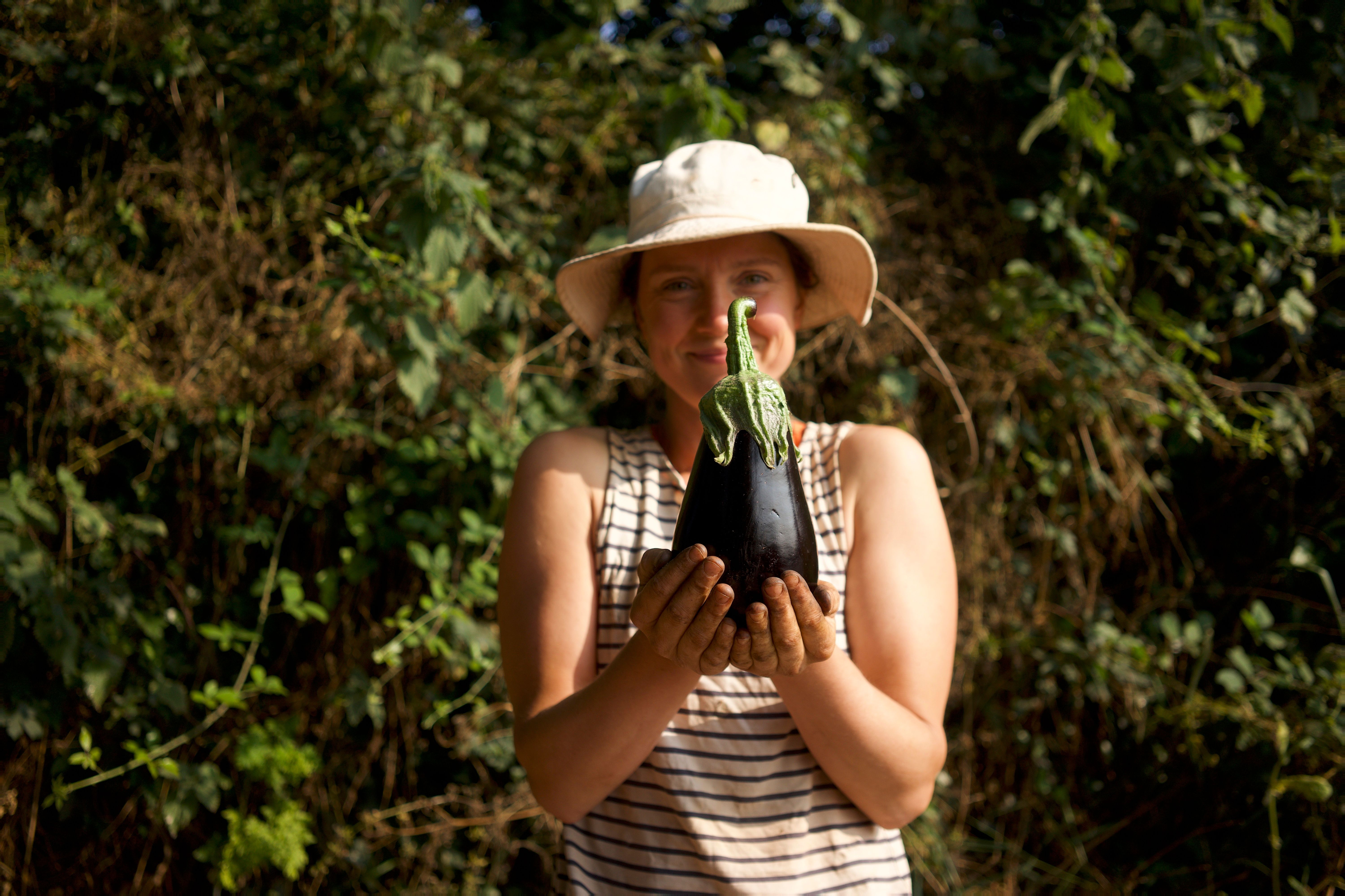 Image of Tomato and Aubergine Salad