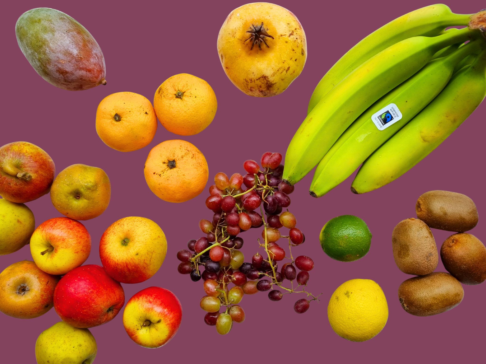 Image of Medium Fruit Box