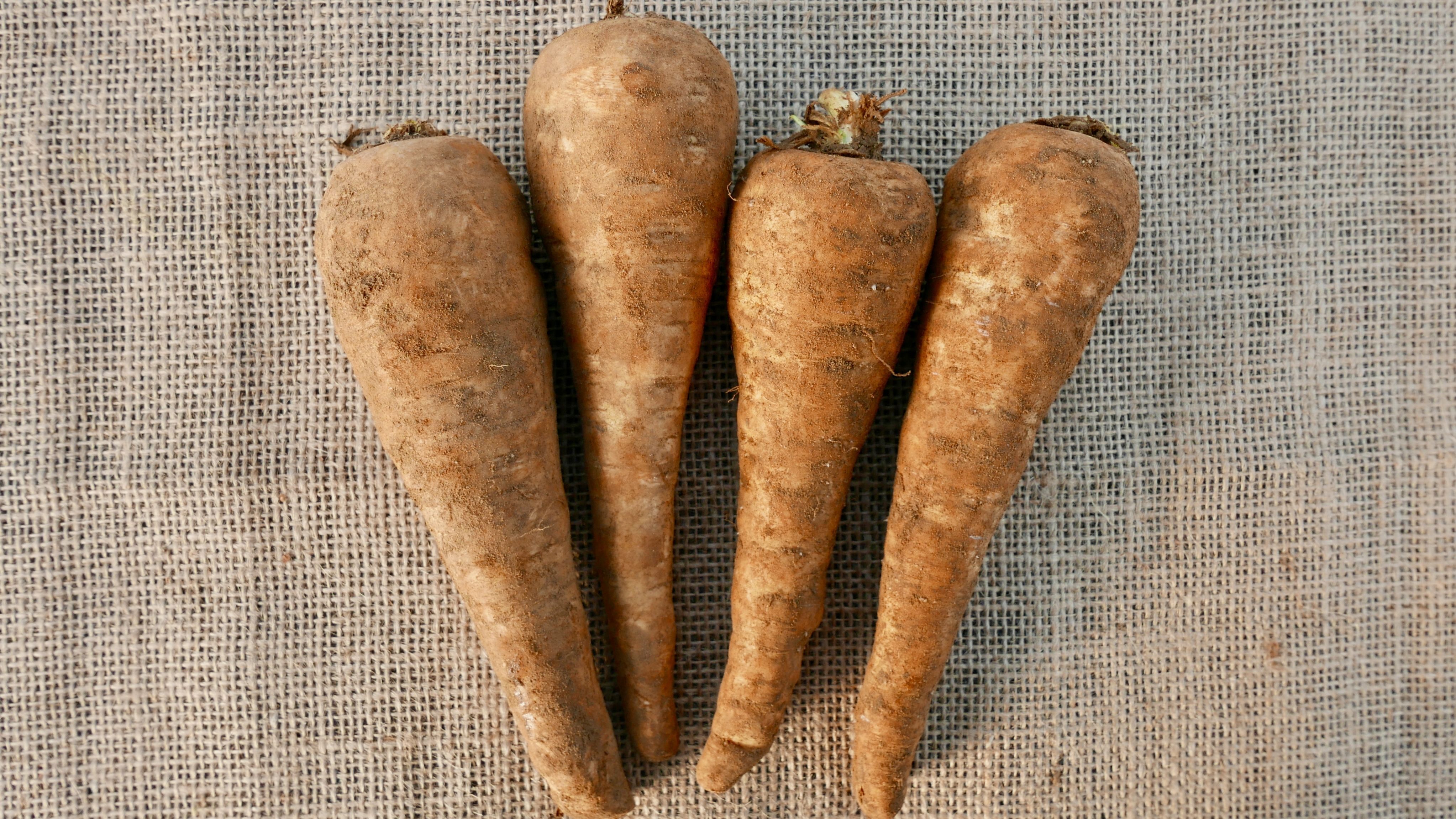 Parsnips