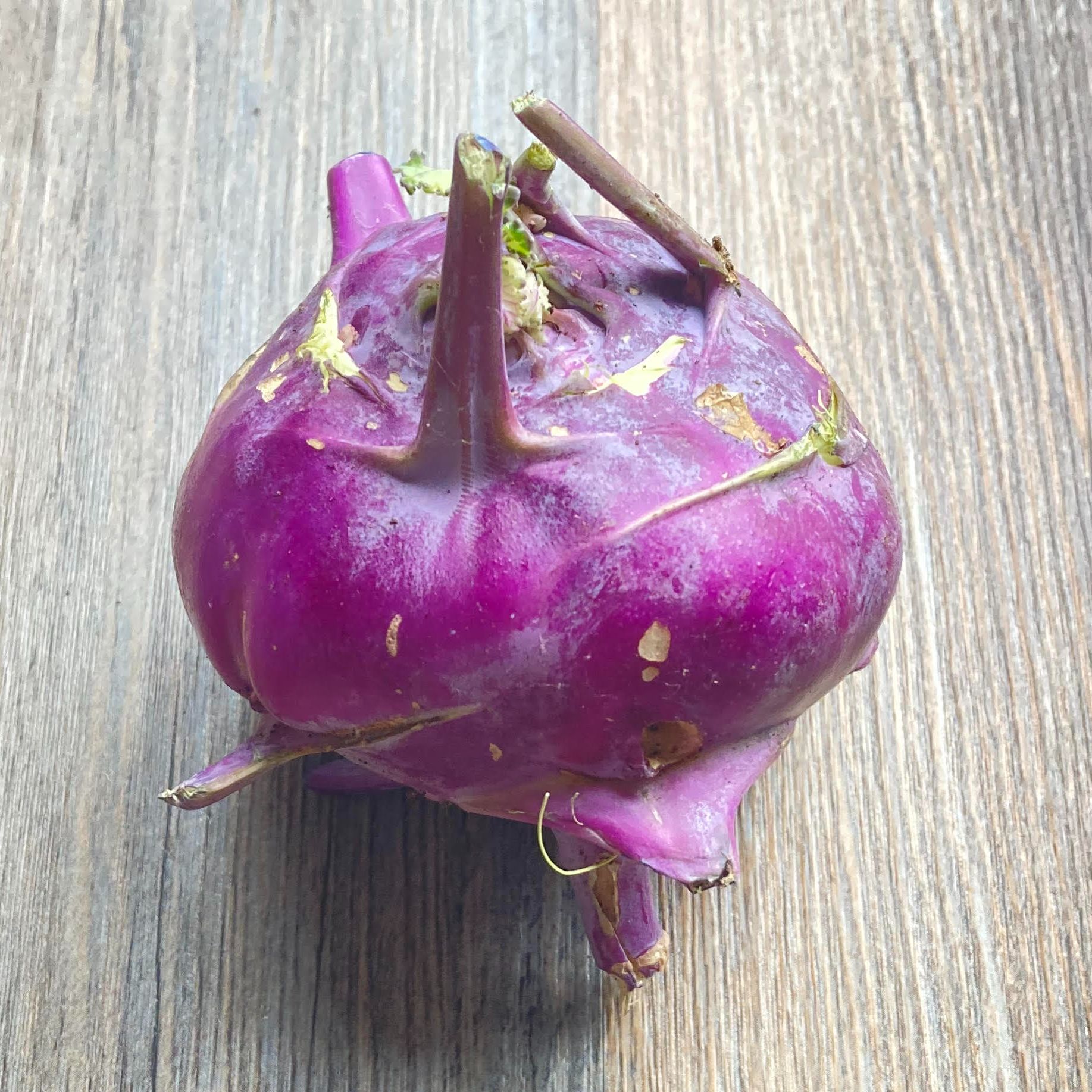 Kohlrabi - Purple (Organic)