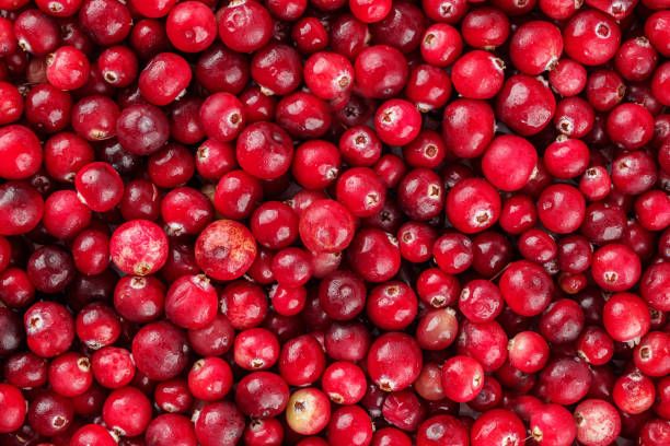 Image of Organic Cranberries (Punnet)