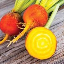 Image of Beetroot - Golden Globe (Organic)
(750g)