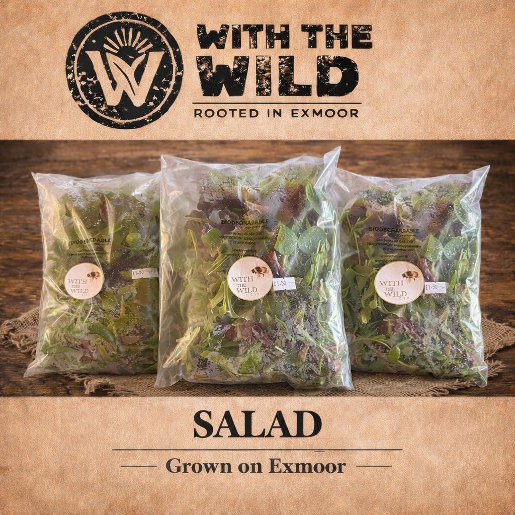 Image of Salad Bag