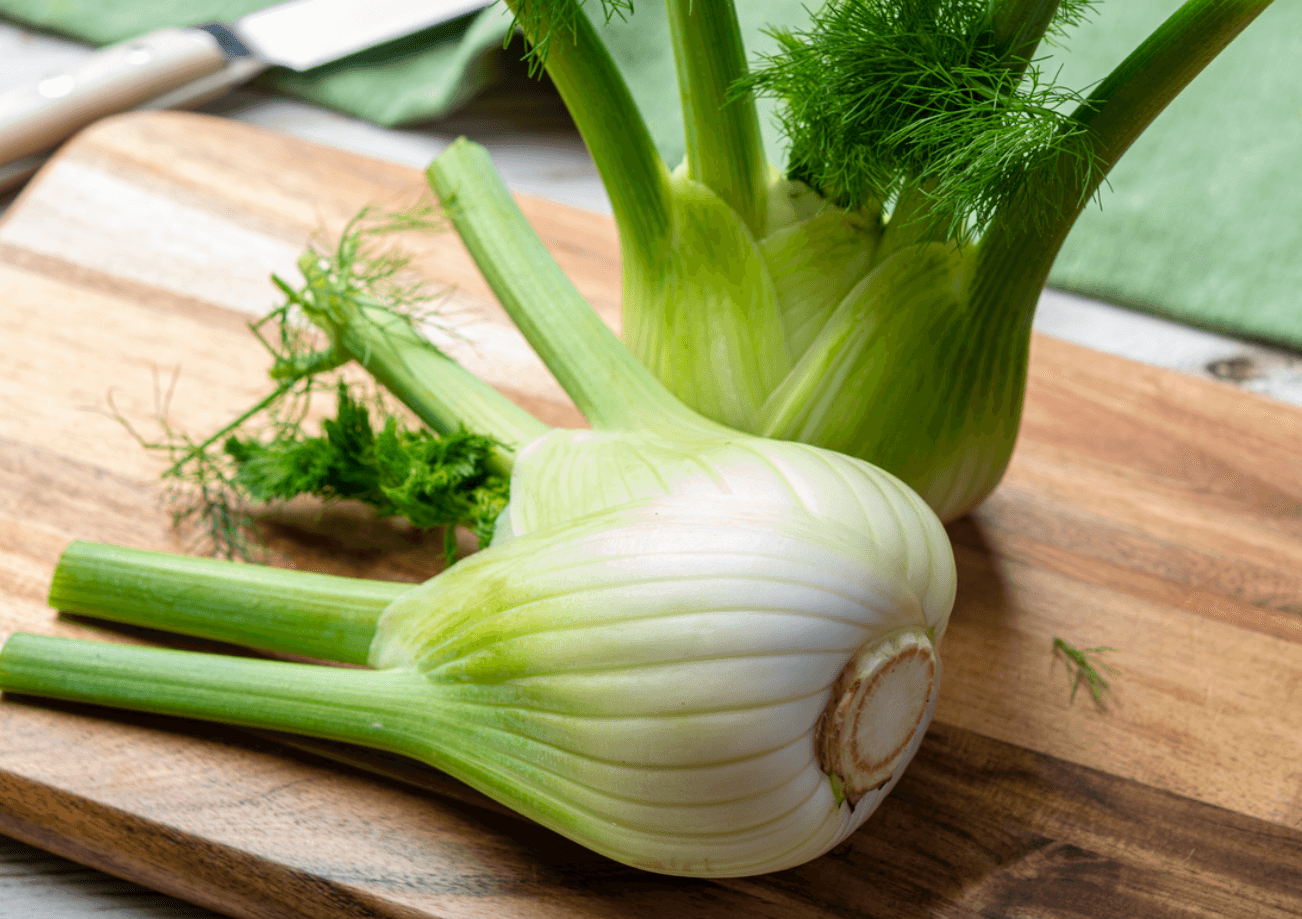 Fennel [Perfektion]