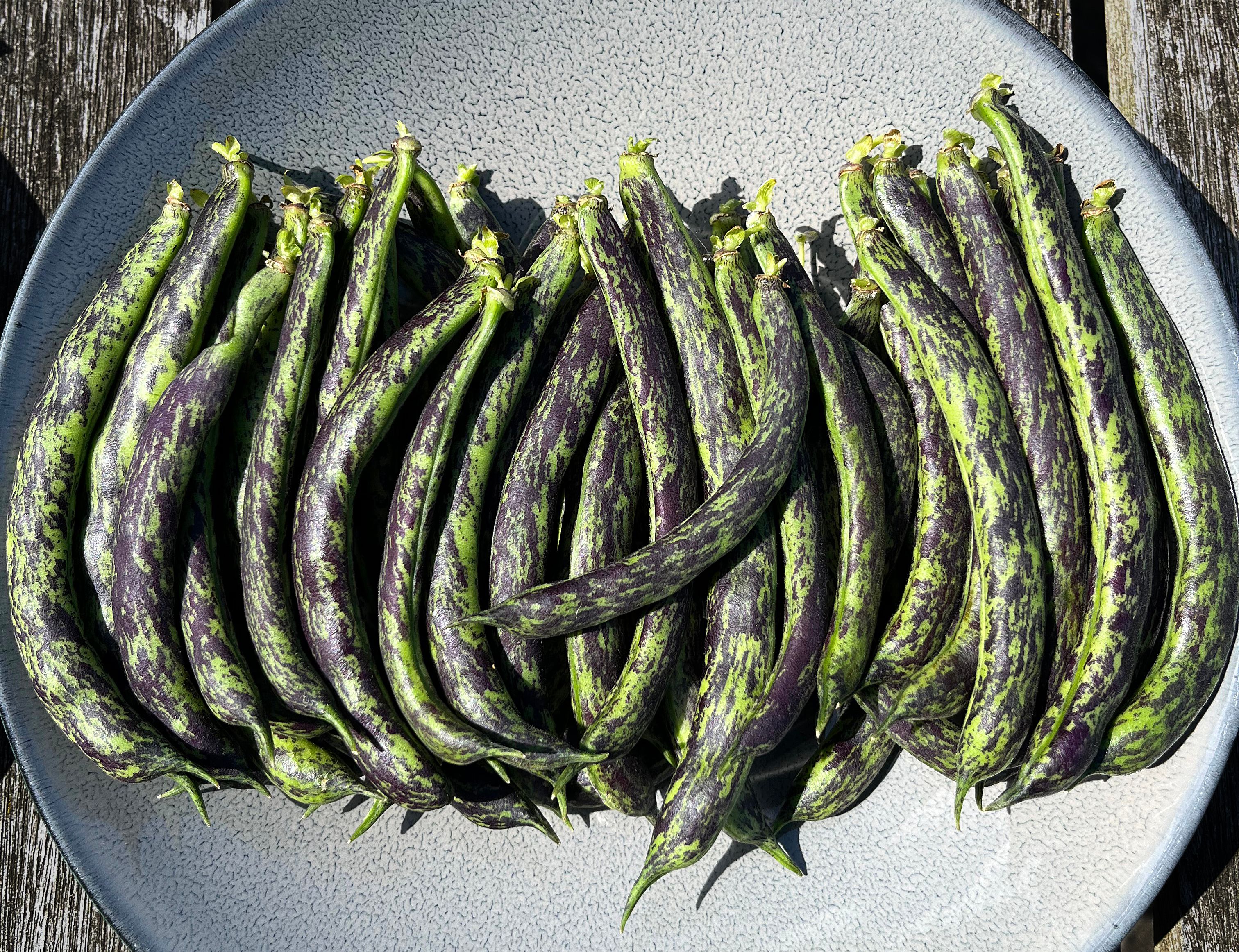 Beans [French Princess]