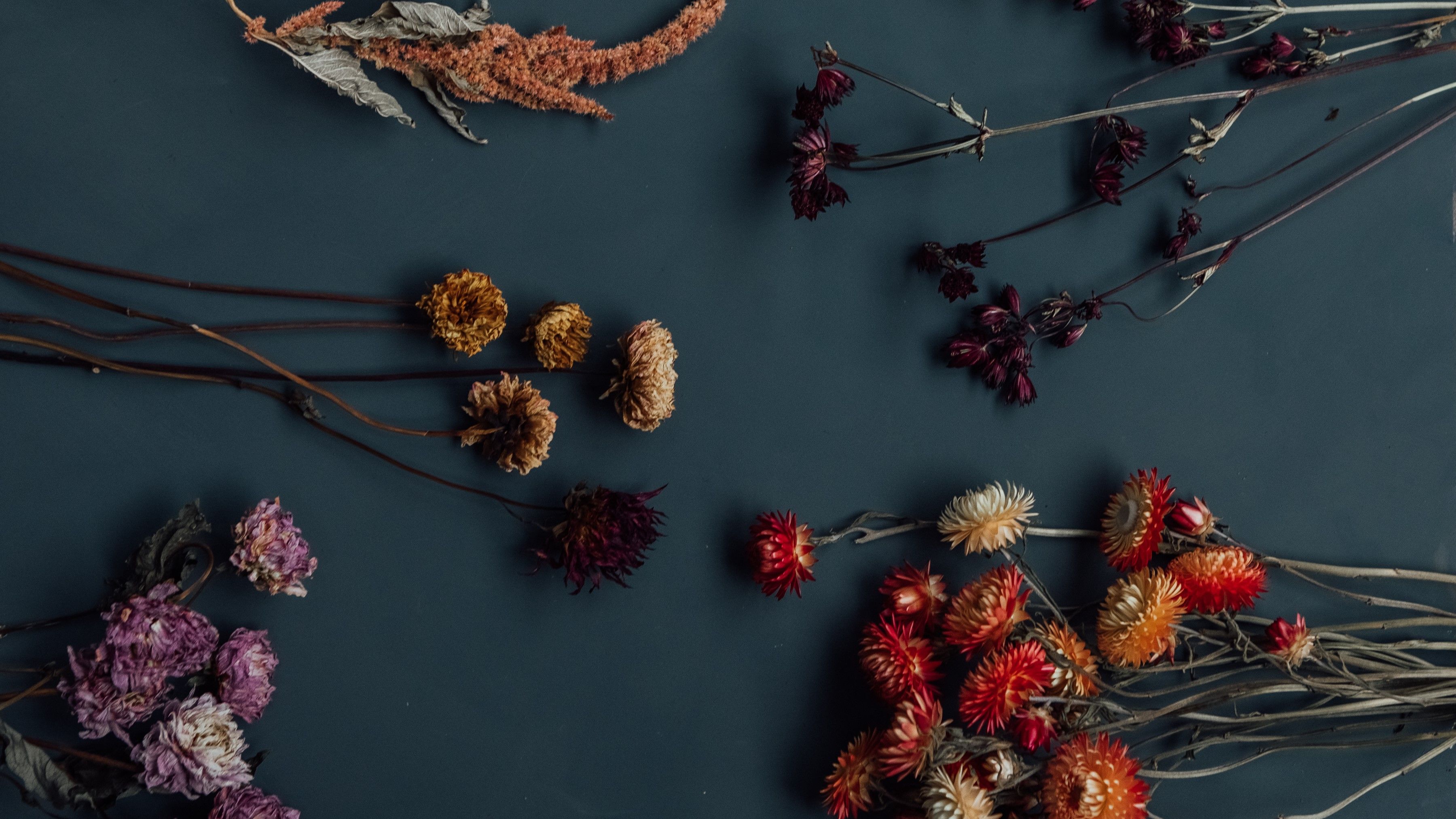 Image of Frequently Asked Questions