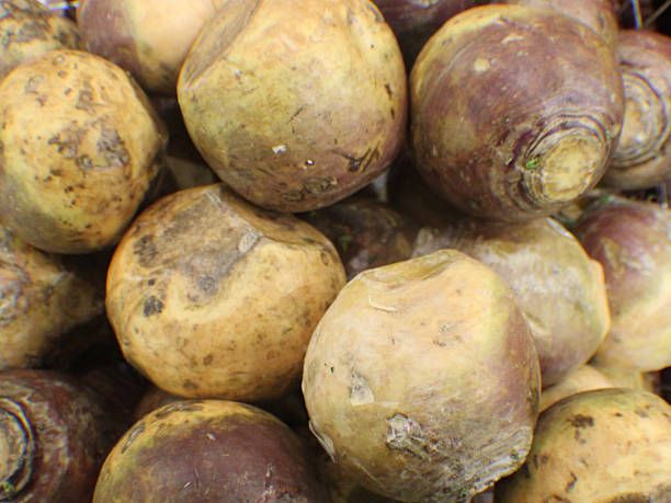 Image of Organic Swede