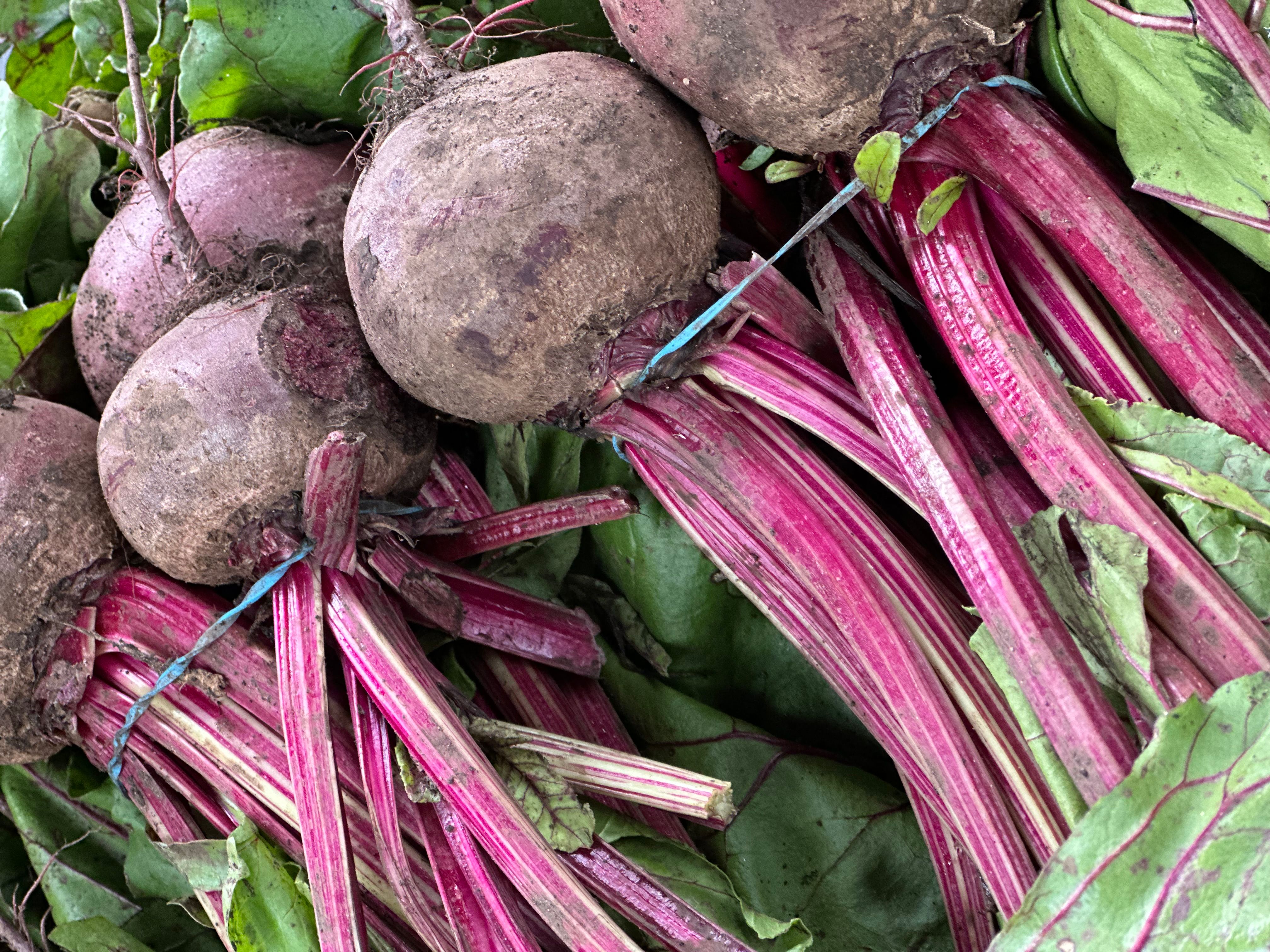 Image of Beetroot
