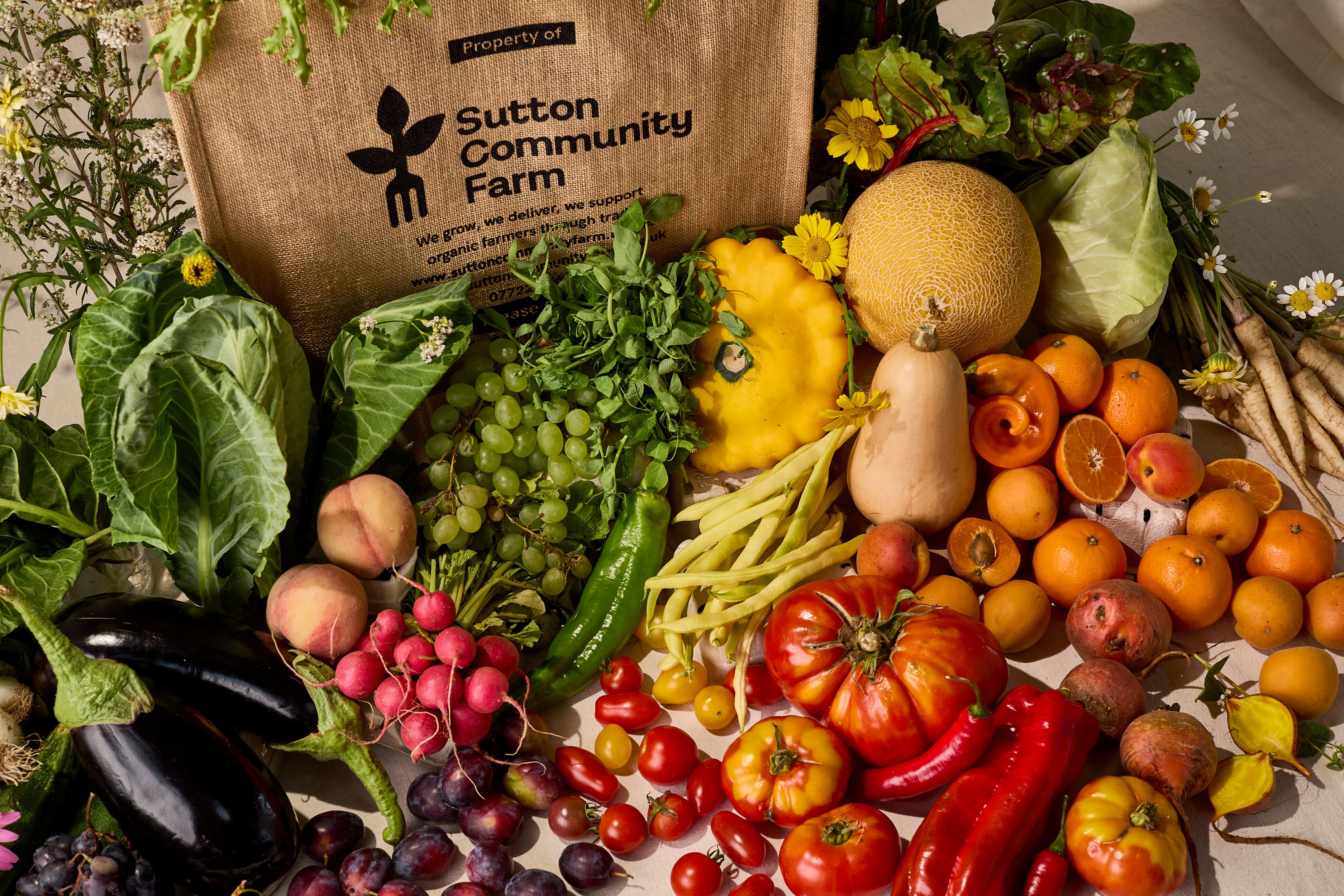 Image of Gift Voucher