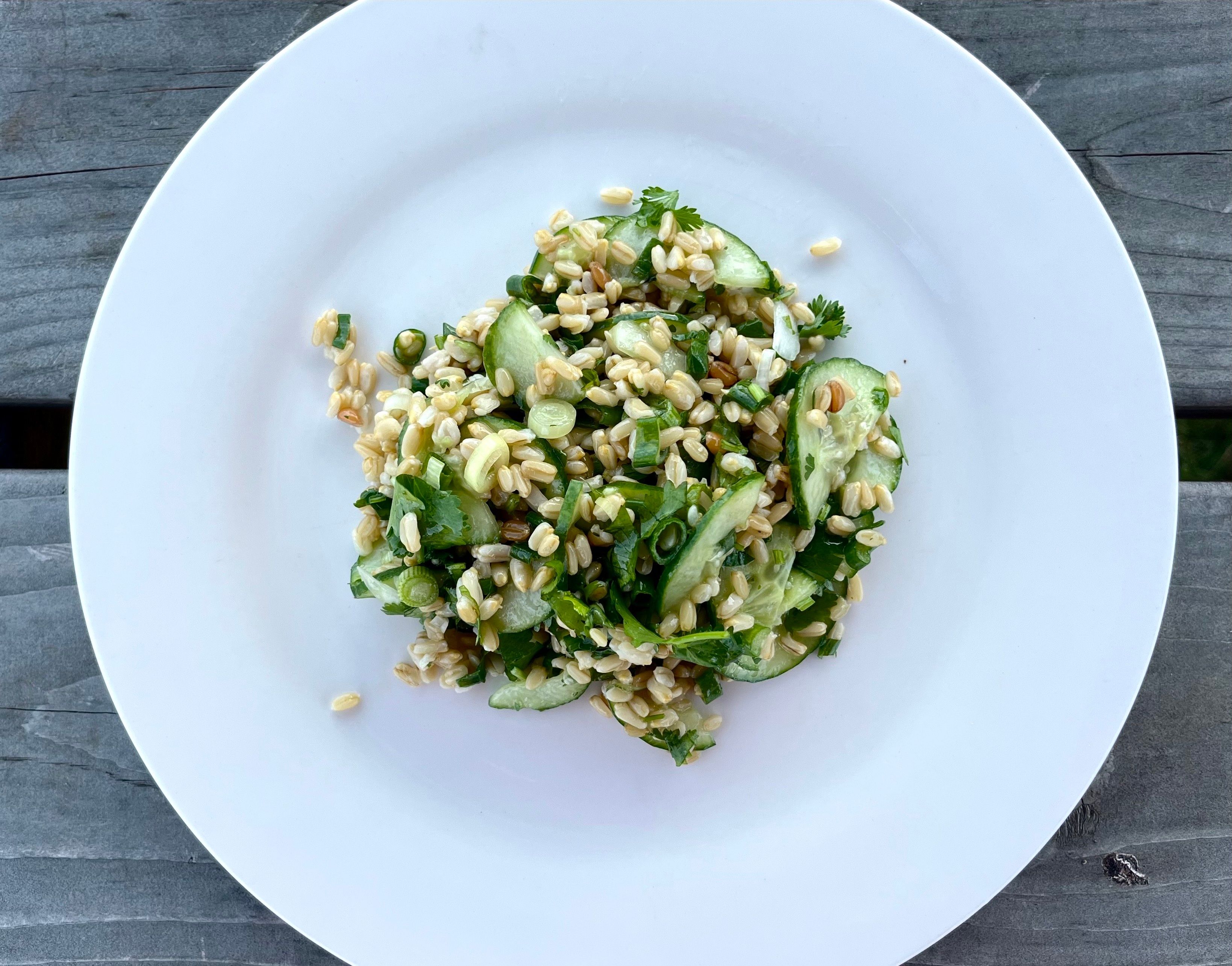 Image of Naked Oats Salad with Cucumbers, Spring Onions and Coriander