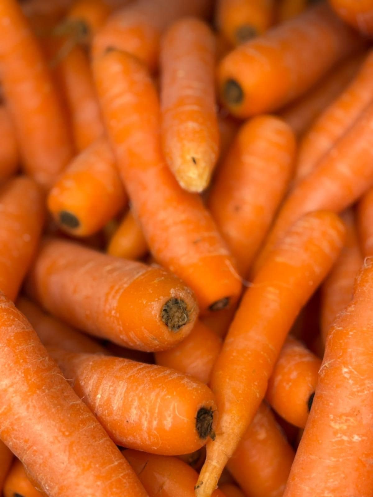Organic Carrots