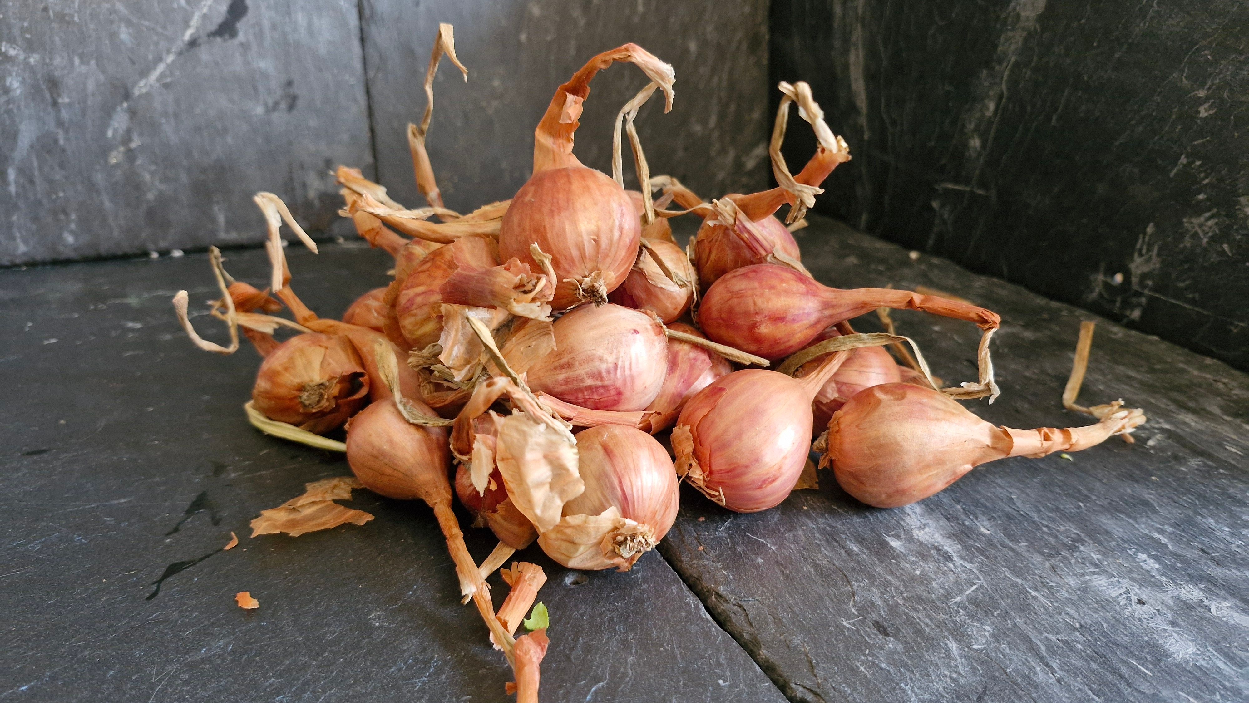 Image of Shallots 