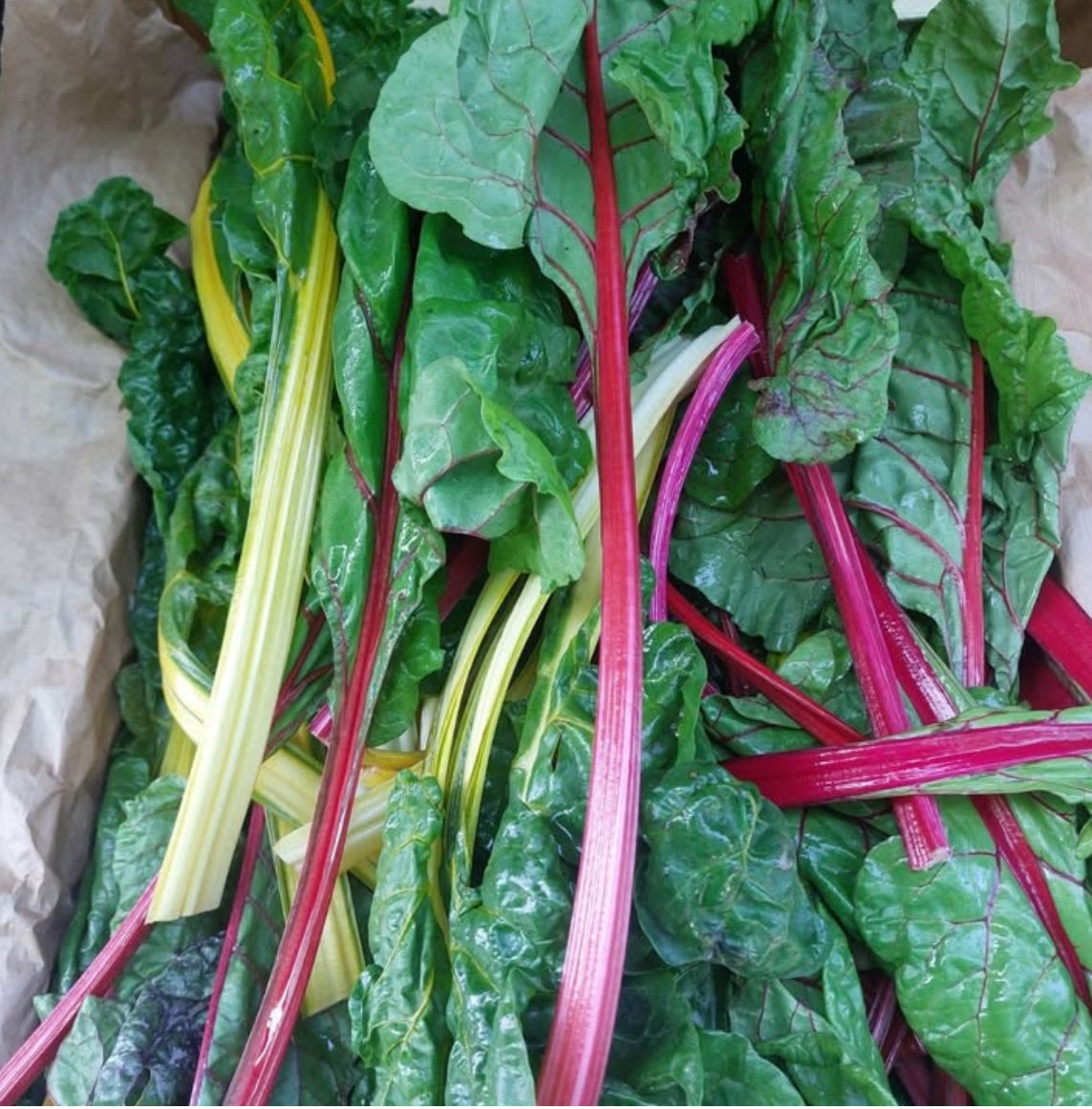 Organic chard