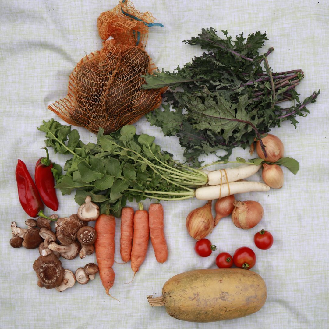 Subsidised Veg Box - Large