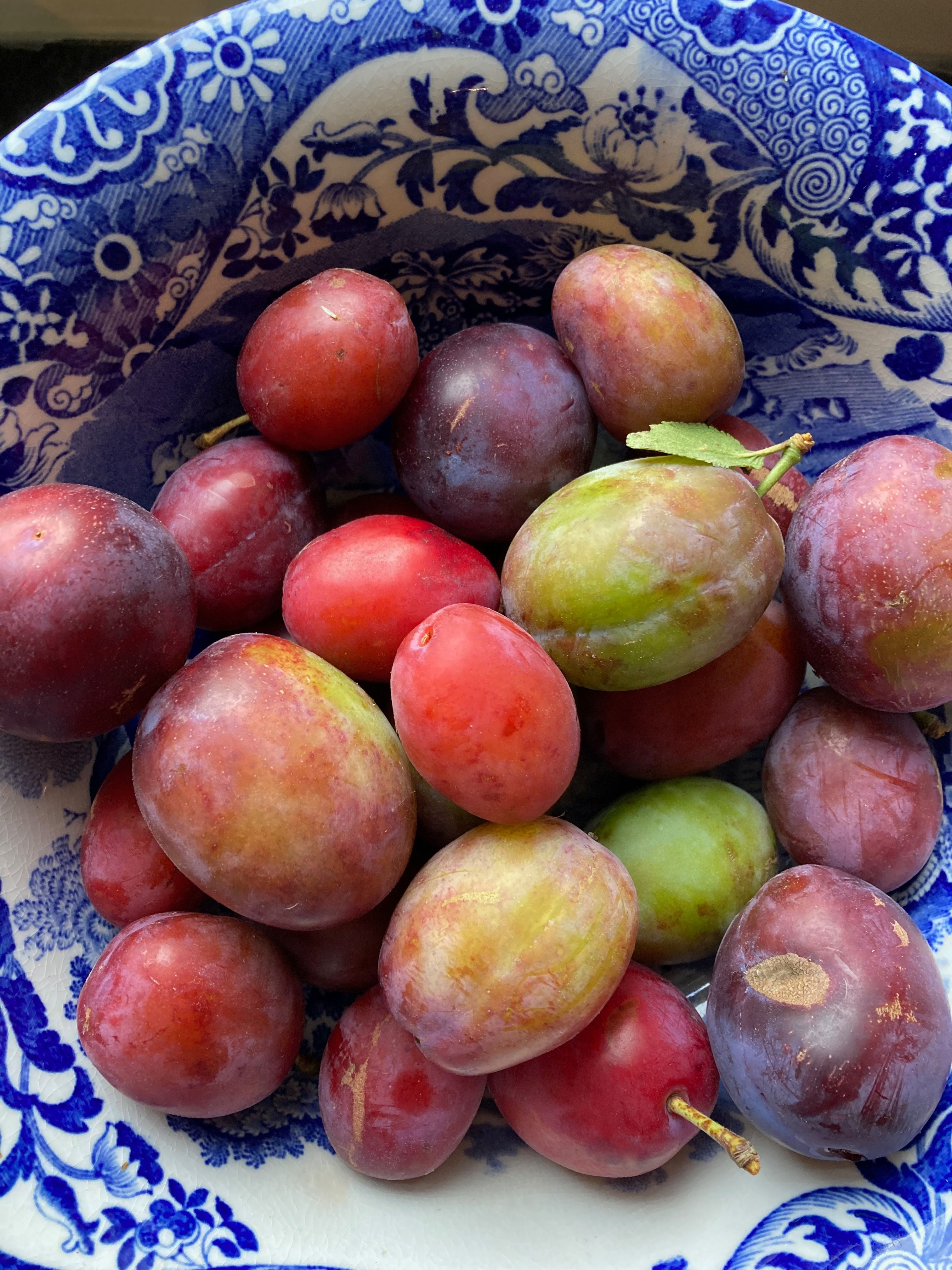 Image of Poached Plums