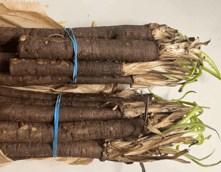 Image of Salsify
