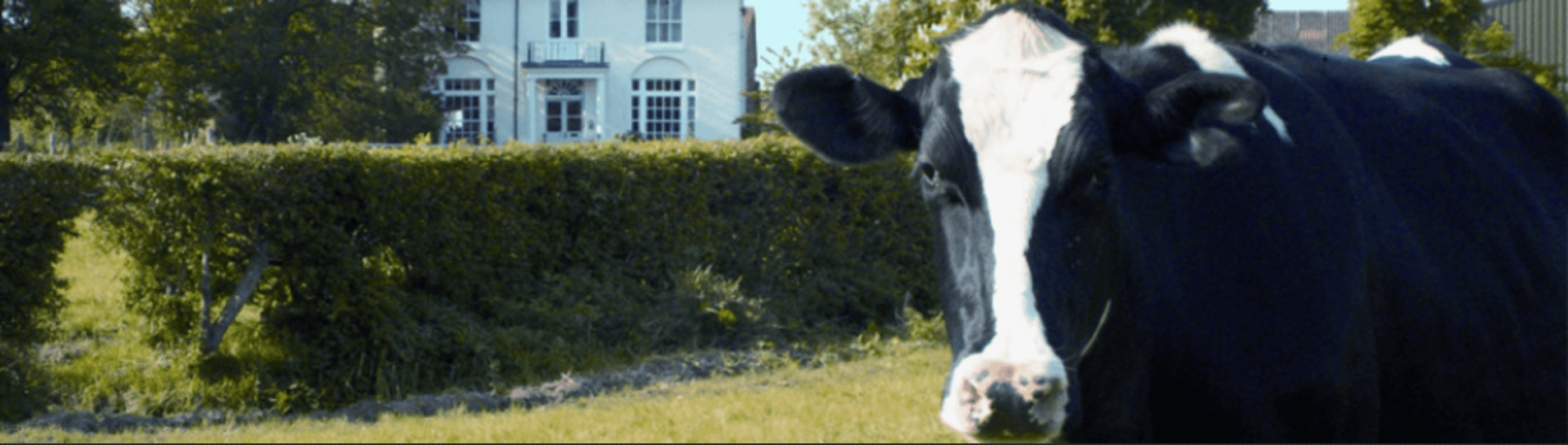 Image of Dairy Products